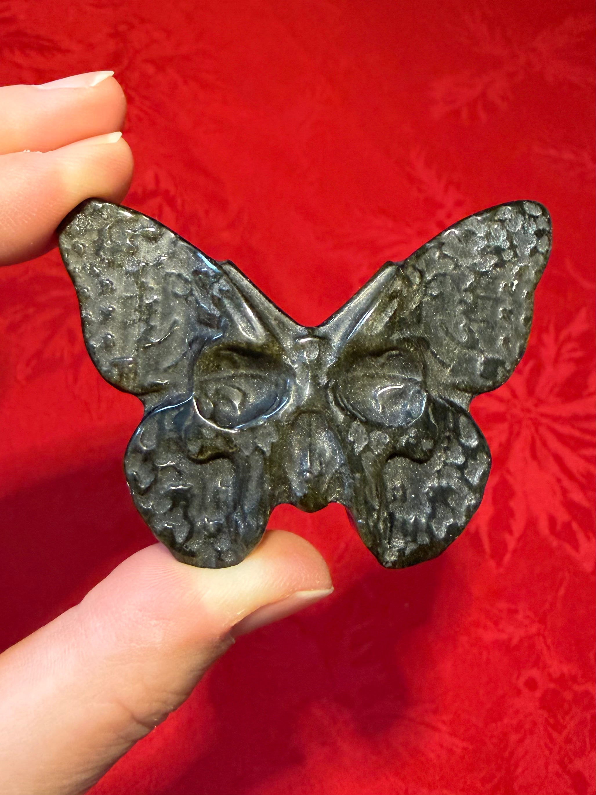 2-1/2” Gold Sheen Obsidian Skull Butterfly