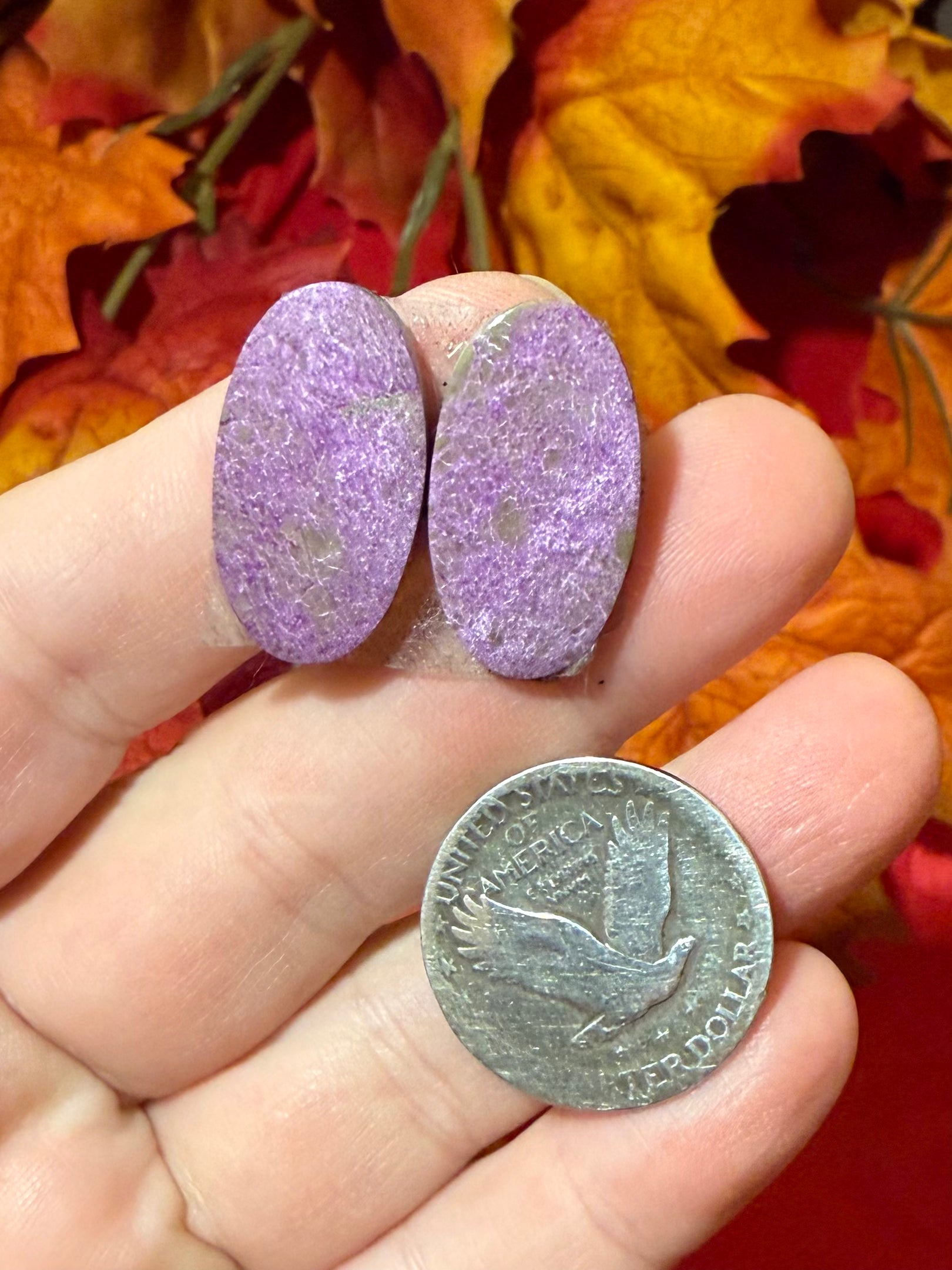 24mm Oval Purpurite Mated Cabochon Pair