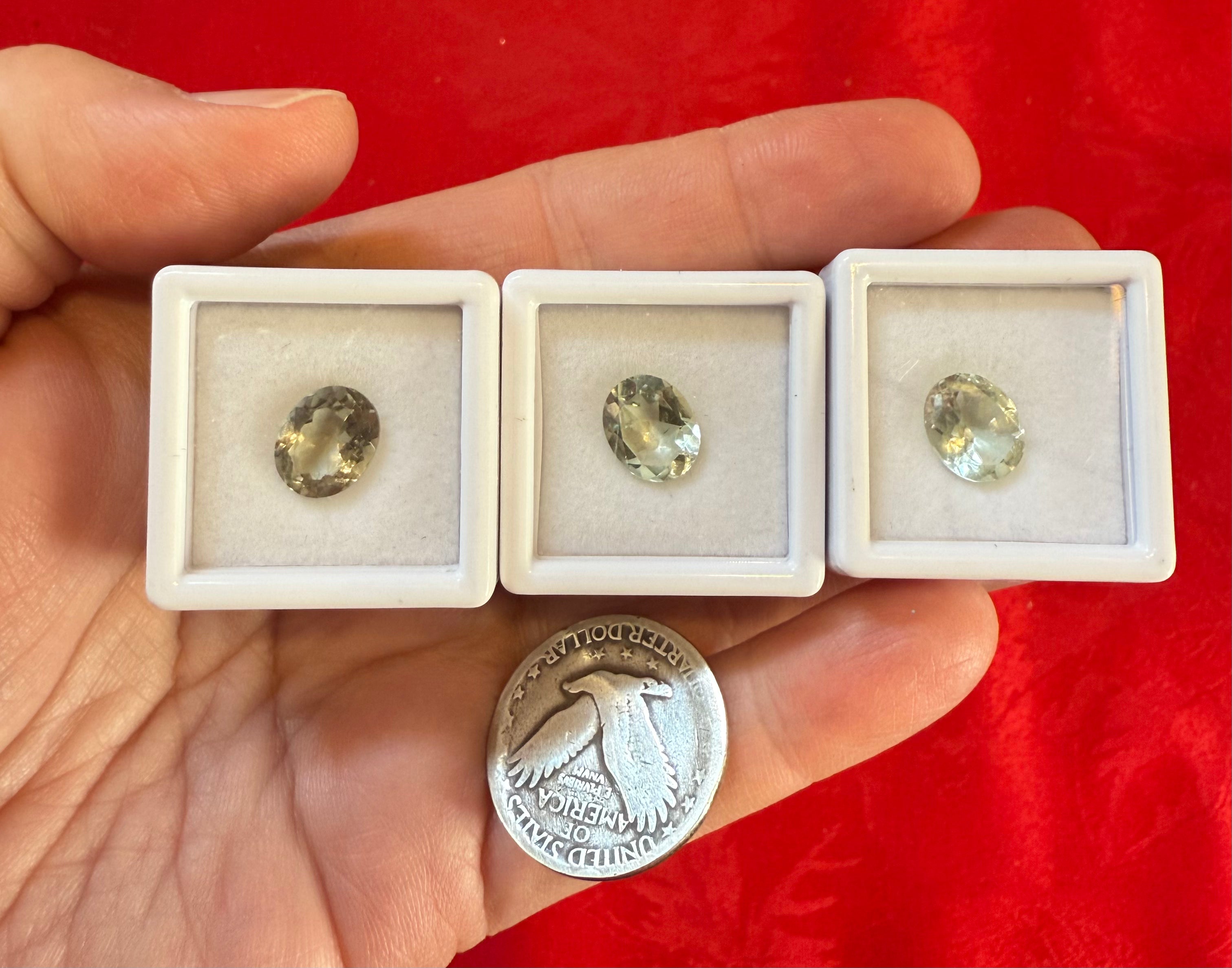 10mm Faceted Prasiolite (Green Amethyst) Gemstone in Acrylic Case