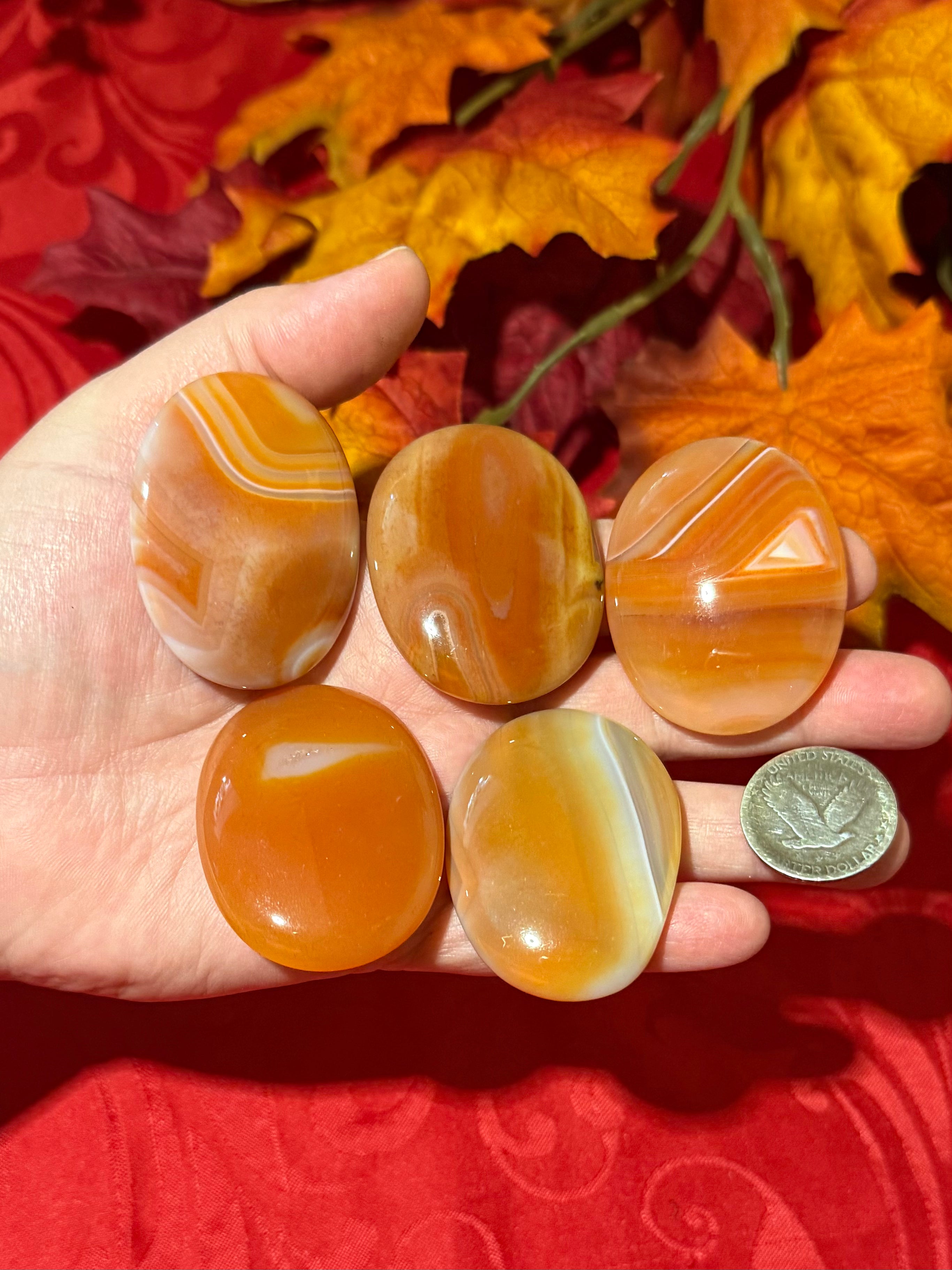 48mm Carnelian Agate Polished Palm Stone