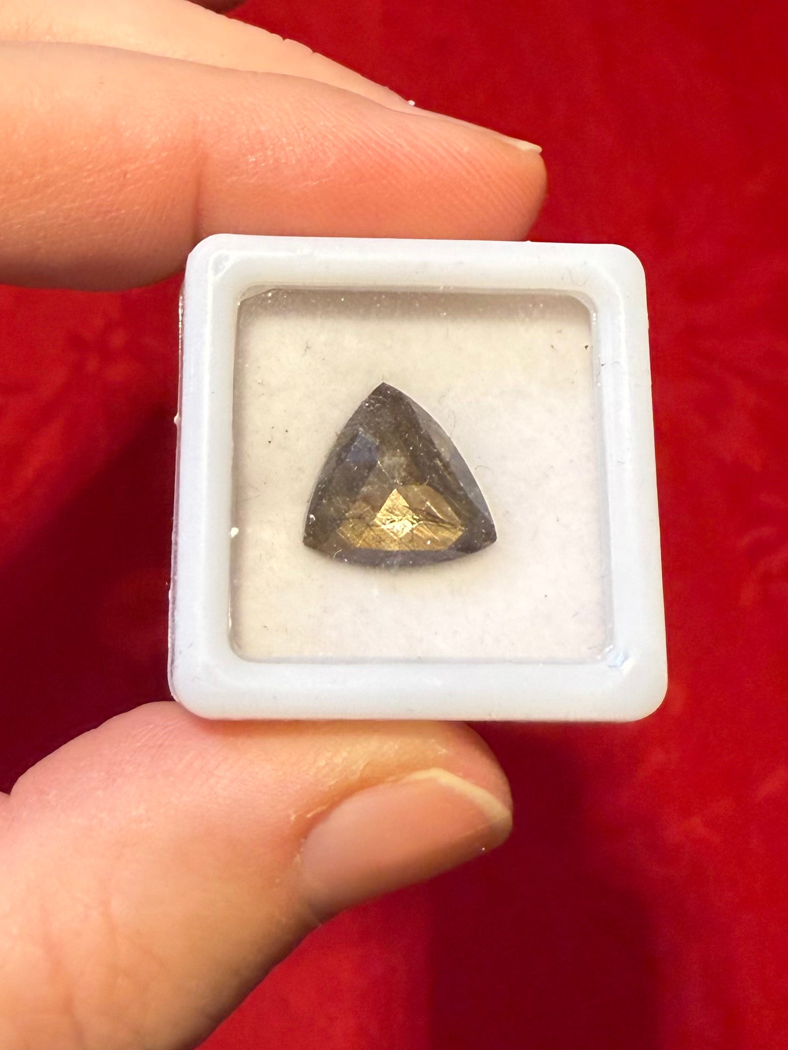12mm Rosecut Gold Sheen Sapphire Faceted Trilliant in Display Case,