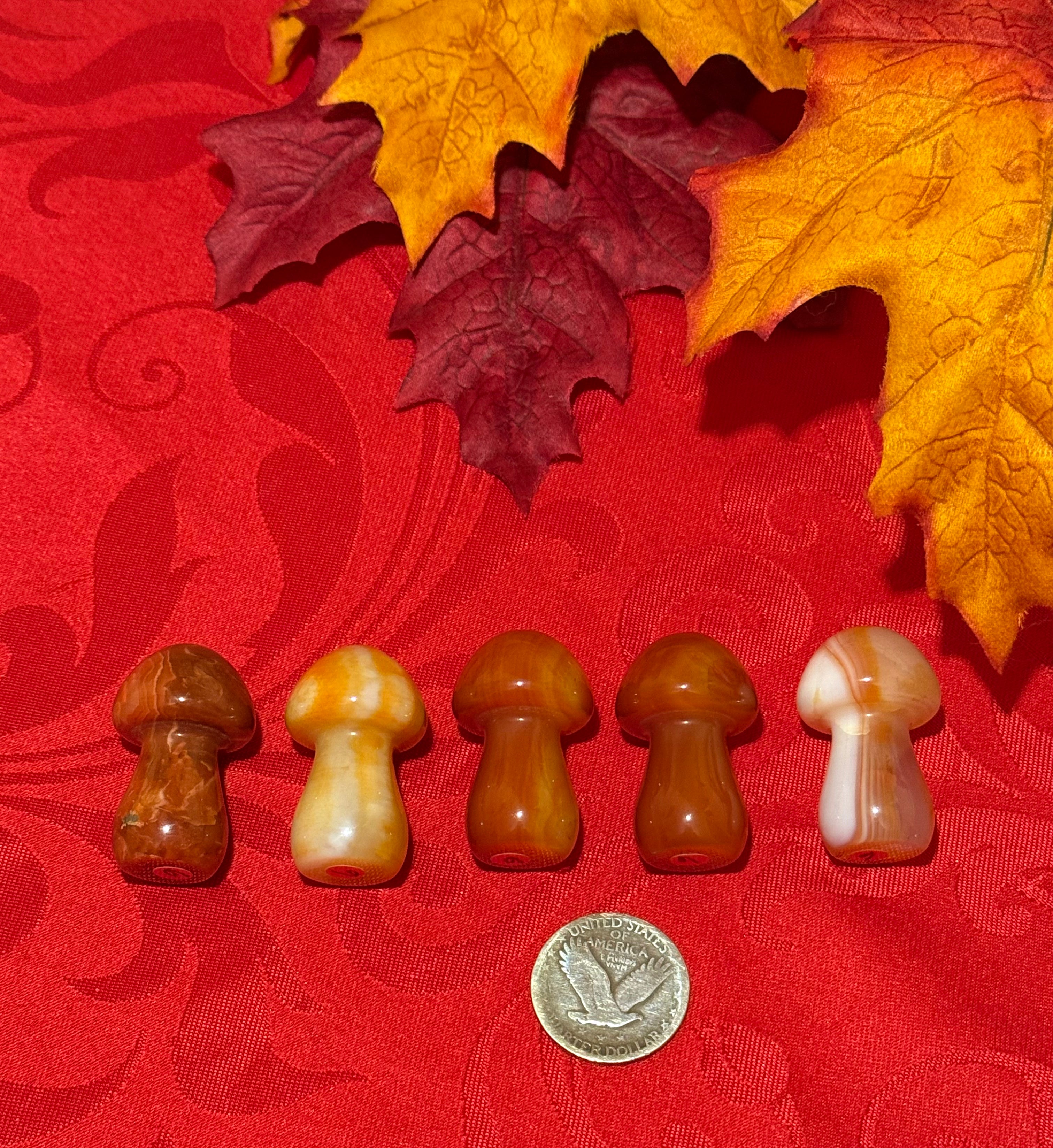 35mm Carnelian Agate Carved Mushroom