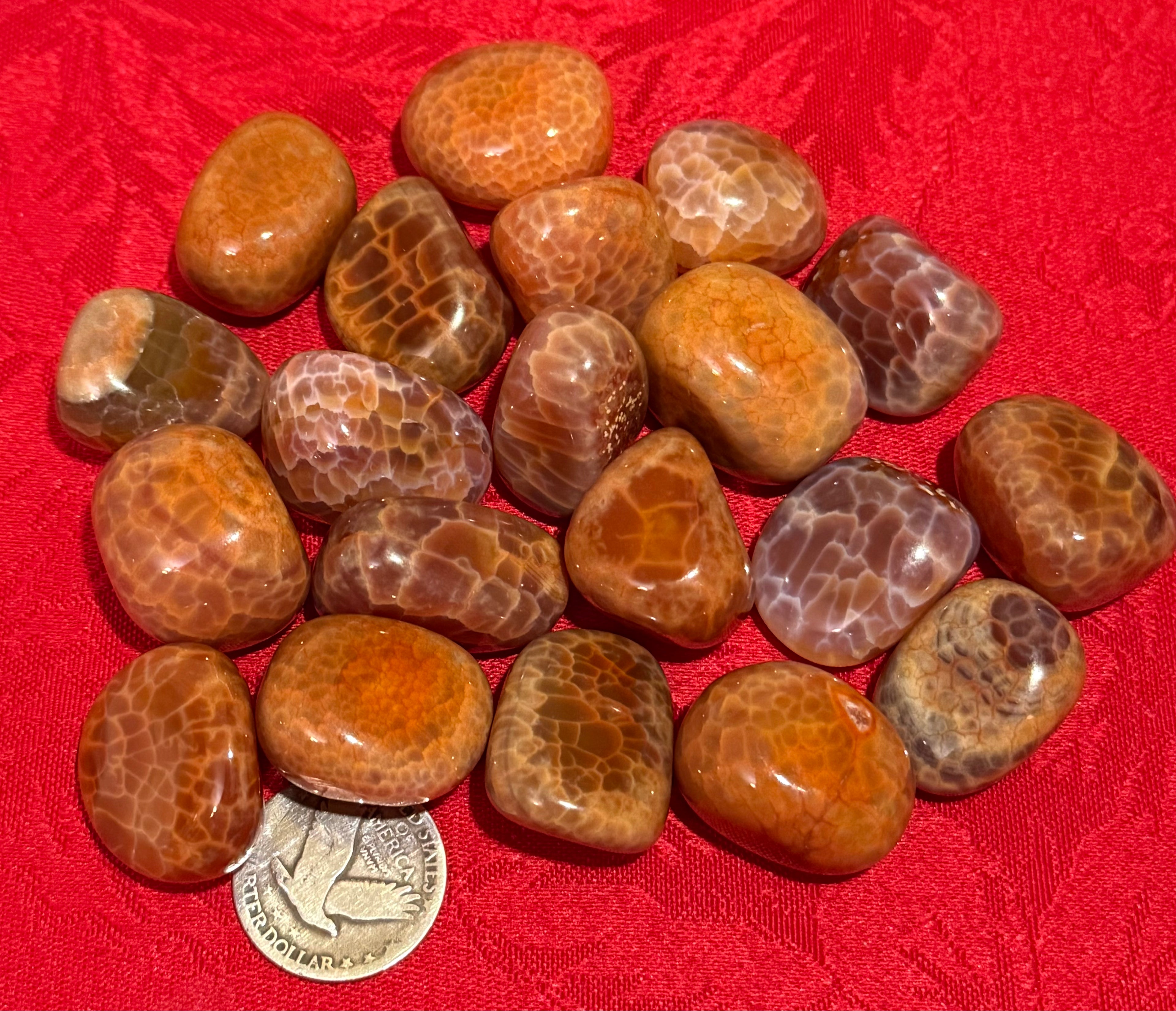 Snakeskin Carnelian Agate Tumbled Polished Stone