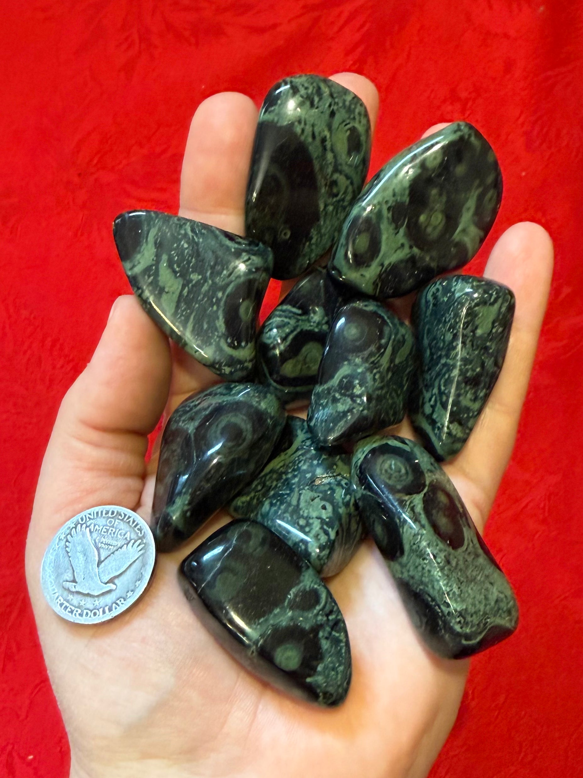 Kambaba Jasper Tumbled Polished Palm Stone Freeforms