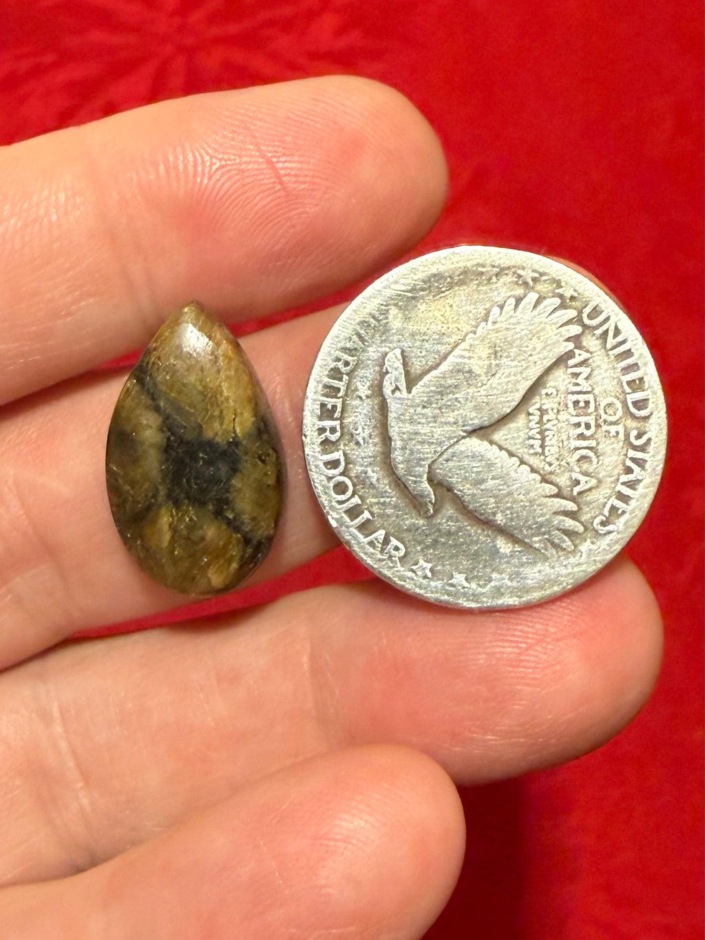 20mm Chiastolite (Andalusite Fairy Cross) Teardrop Cabochon
