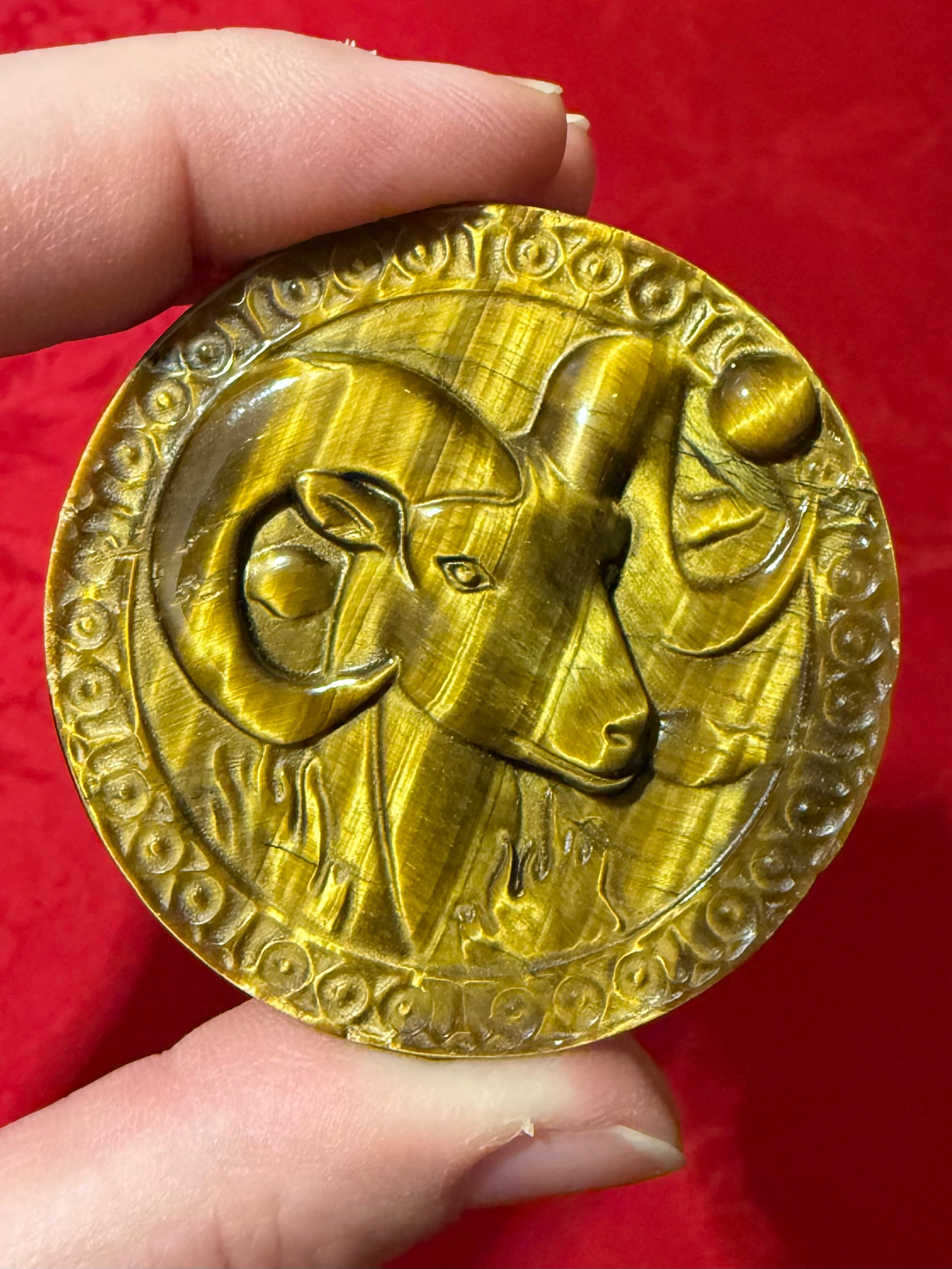50mm Tigerseye Tiger’s Eye Zodiac Sign Aries Cameo
