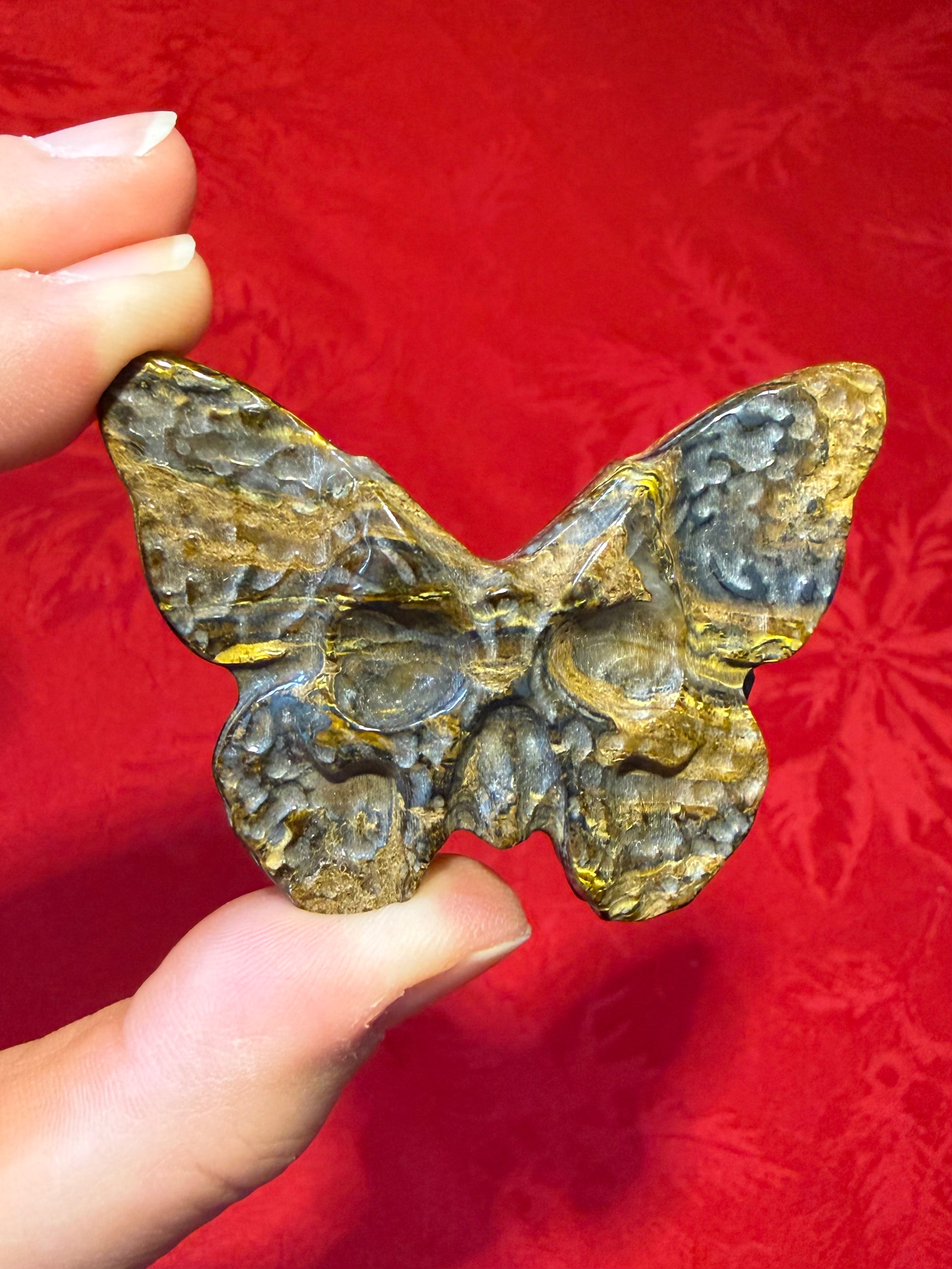 2.25” Tiger Iron Skull Butterfly