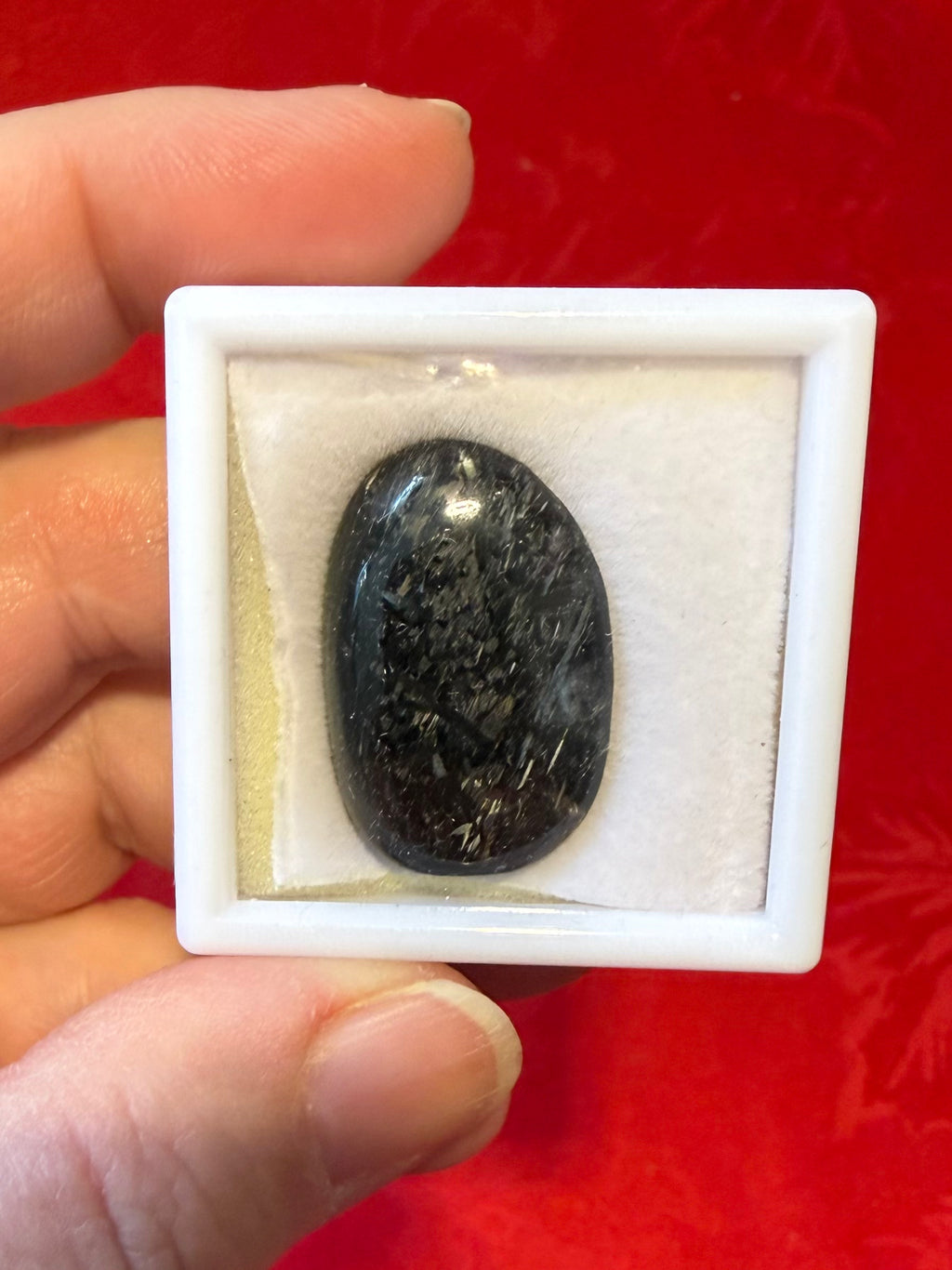 27mm Genuine Nuummite Polished Stone in Display Case