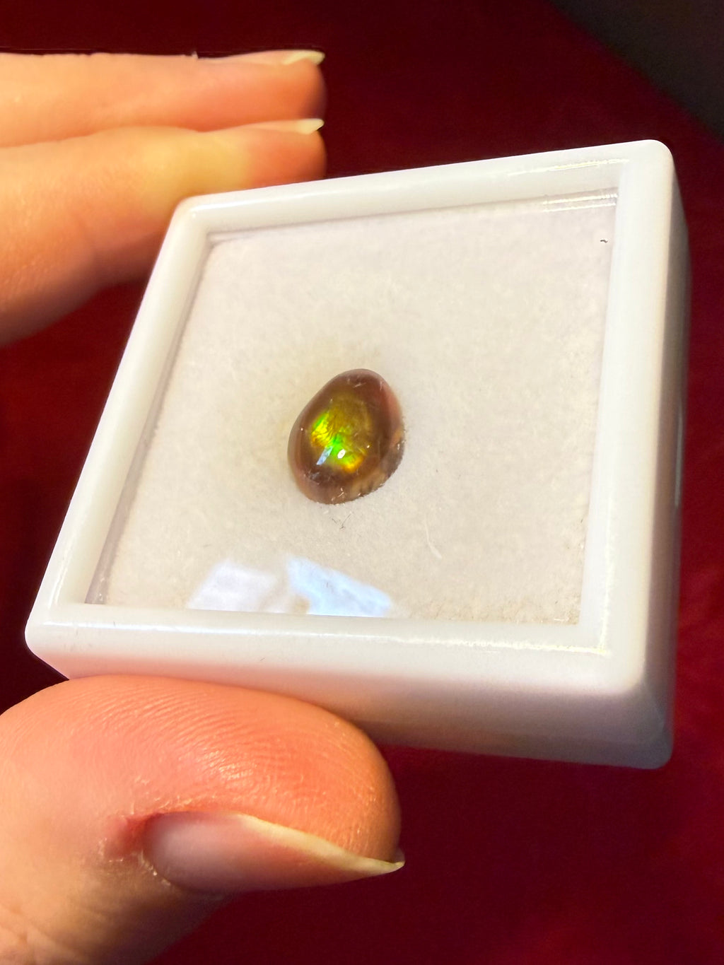 10mm Fire Agate Cabochon in Case