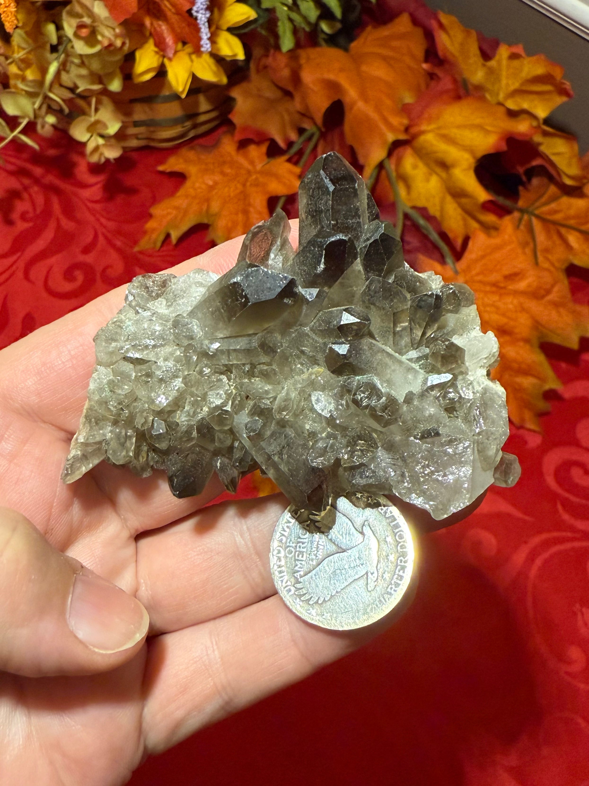 Smoky Quartz Cluster
