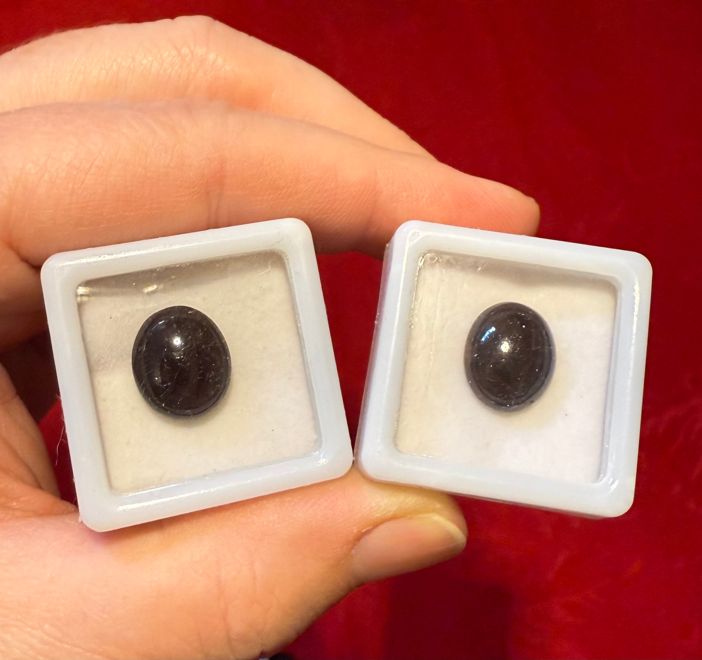 13mm Star Garnet Cabochon in Display Case