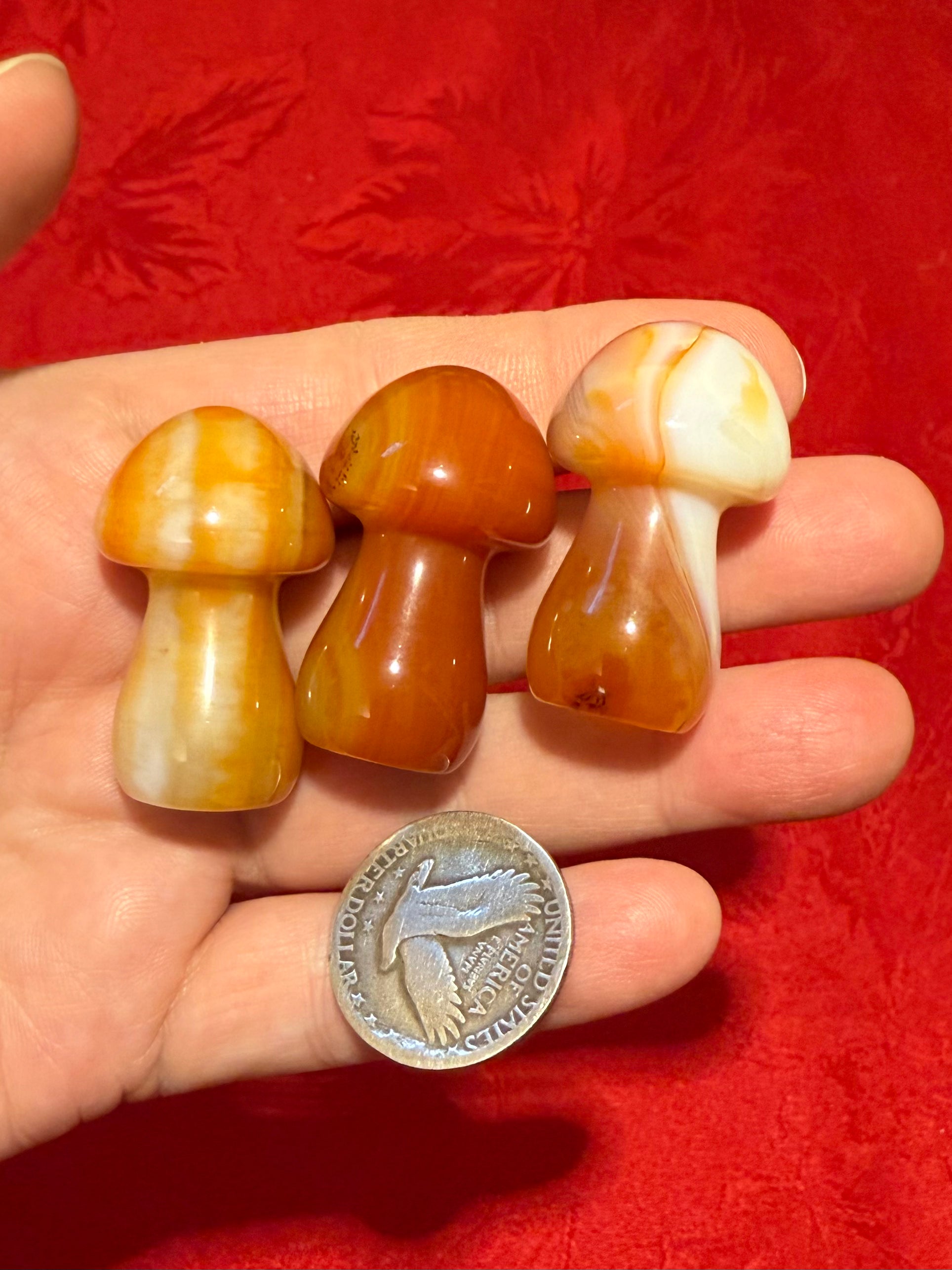 35mm Carnelian Agate Carved Mushroom