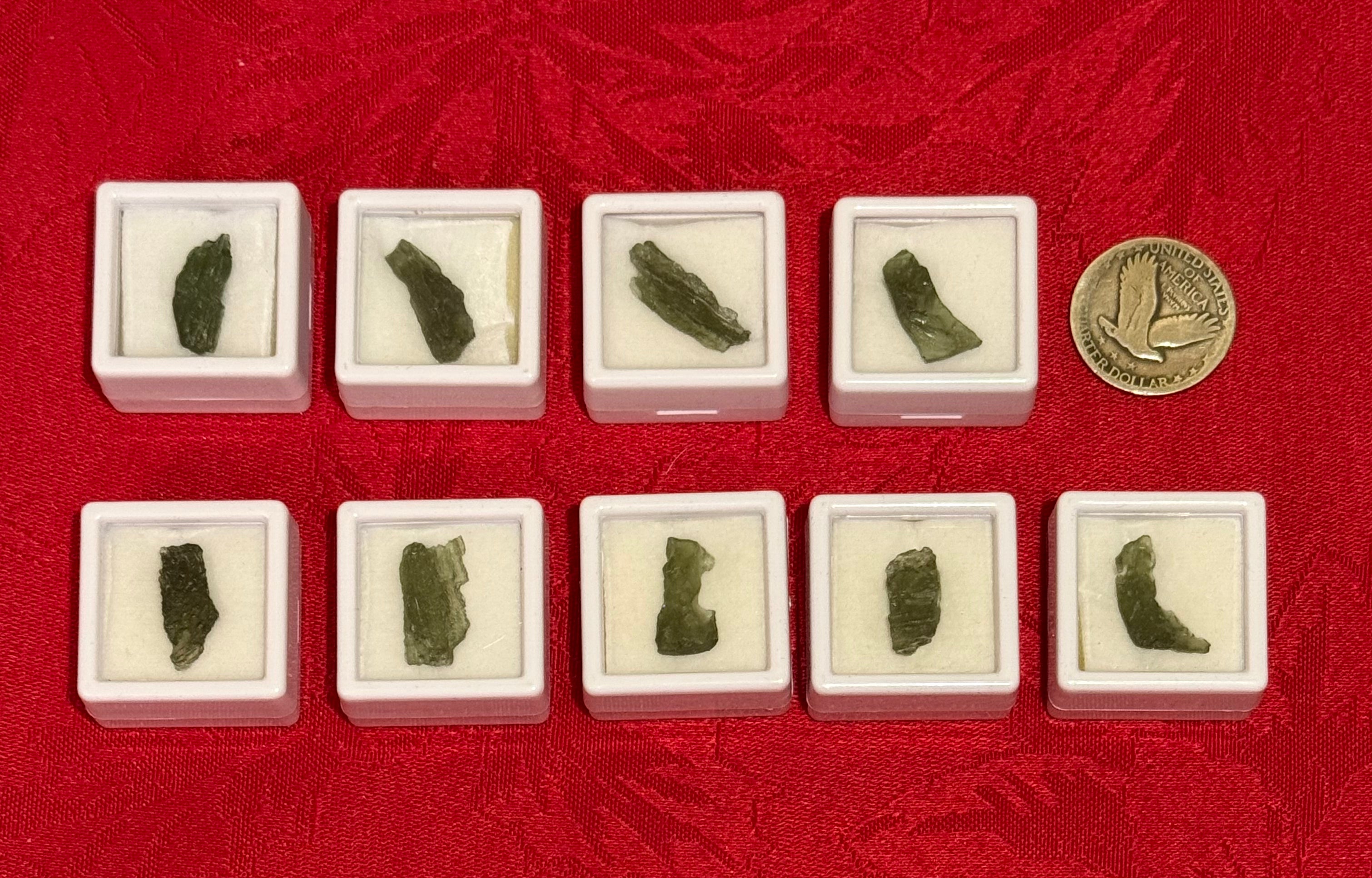 Rough Genuine Moldavite in Case