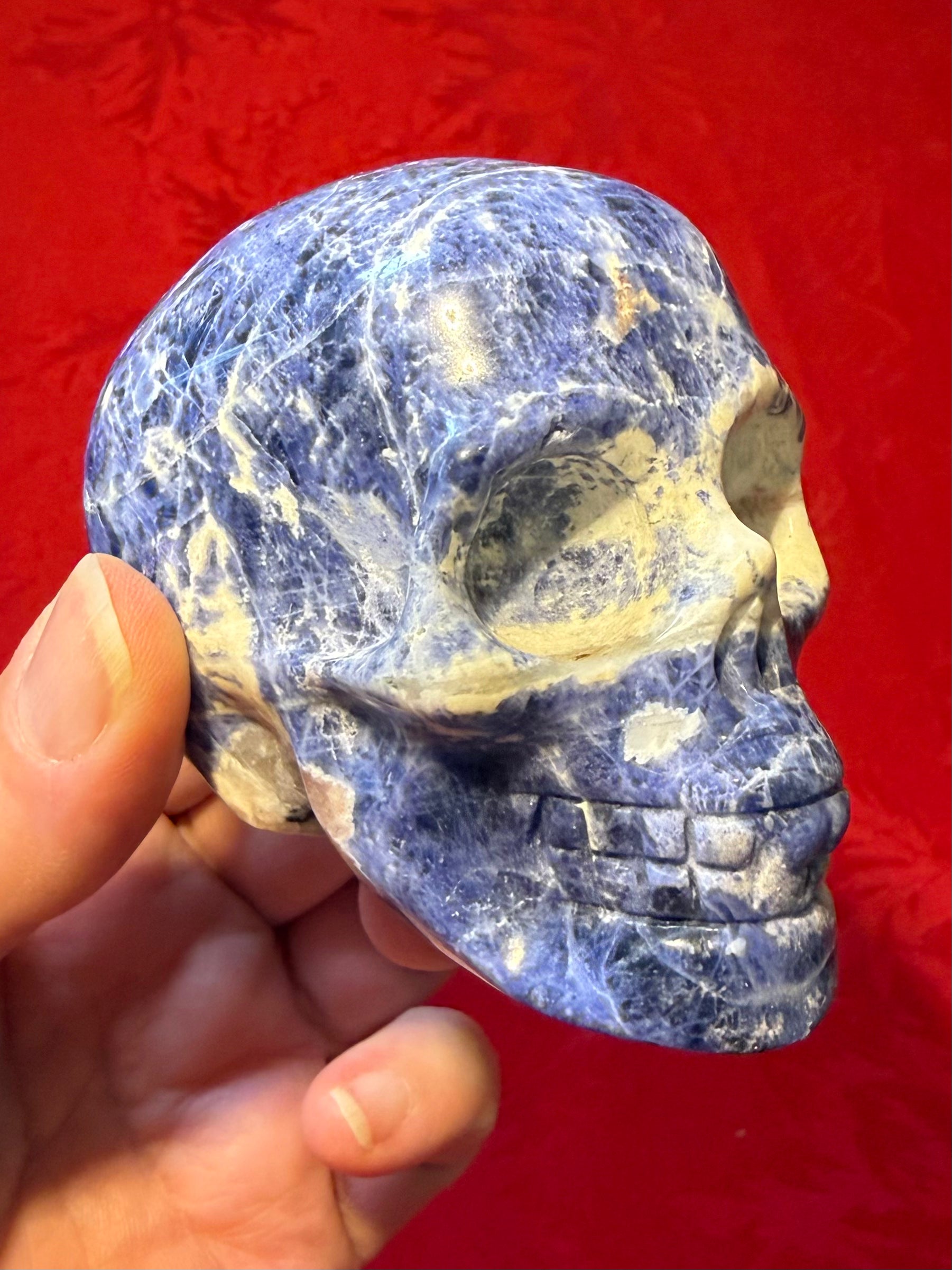 3” Sodalite Skull