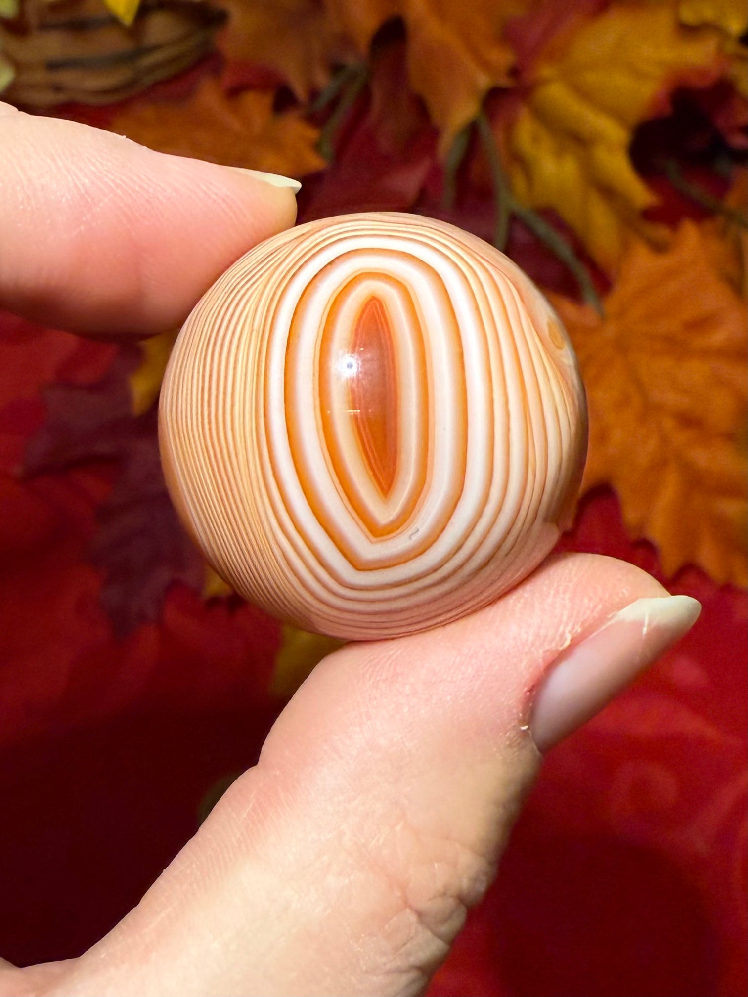31mm Sardonyx Sphere