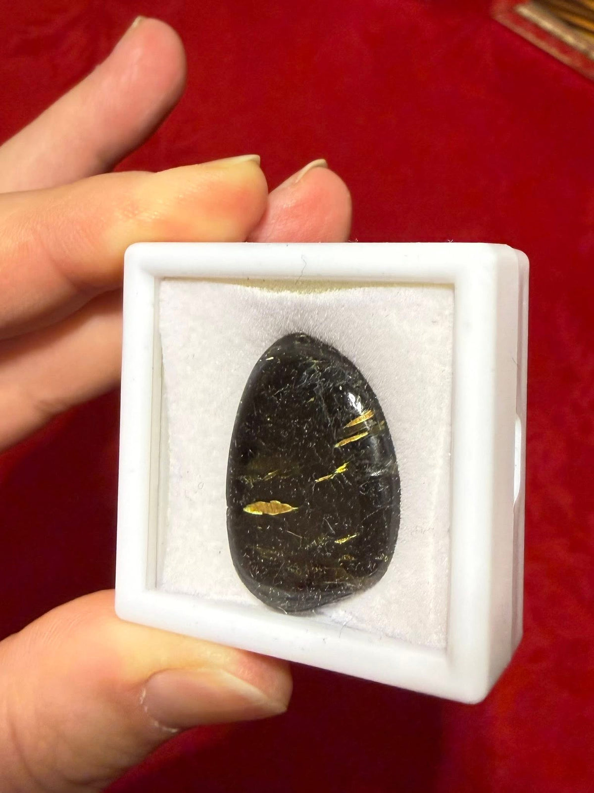 28mm Genuine Nuummite Polished Stone in Display Case