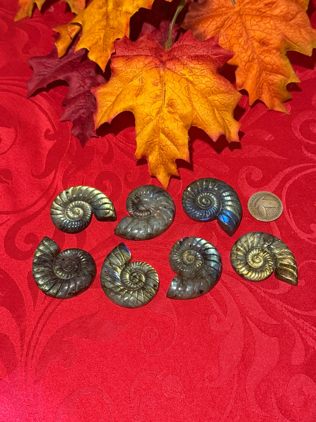 Carved Labradorite Ammonite Cabochon Cameo