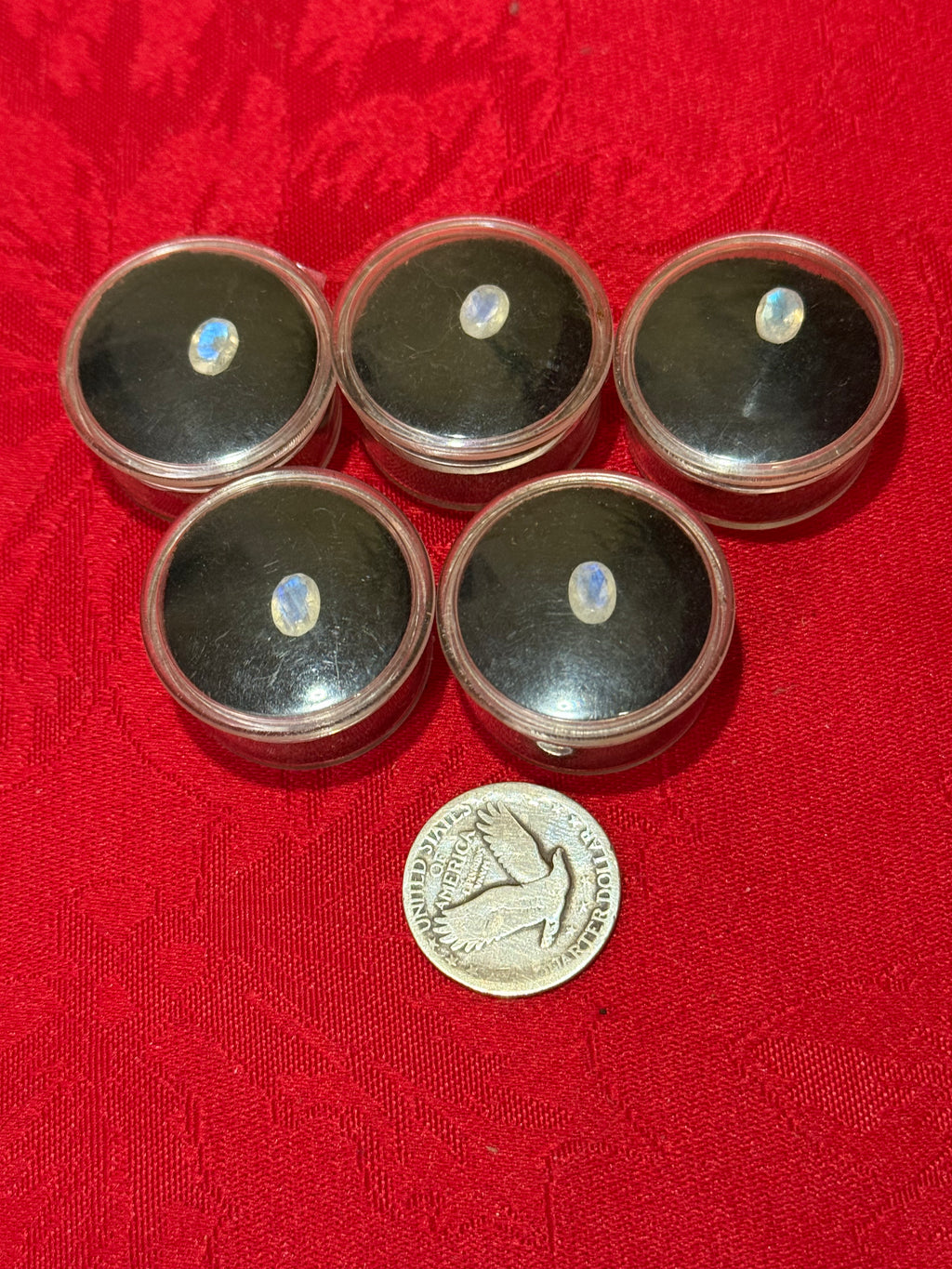 7mm Faceted Rainbow Moonstone Oval Gemstone in Case