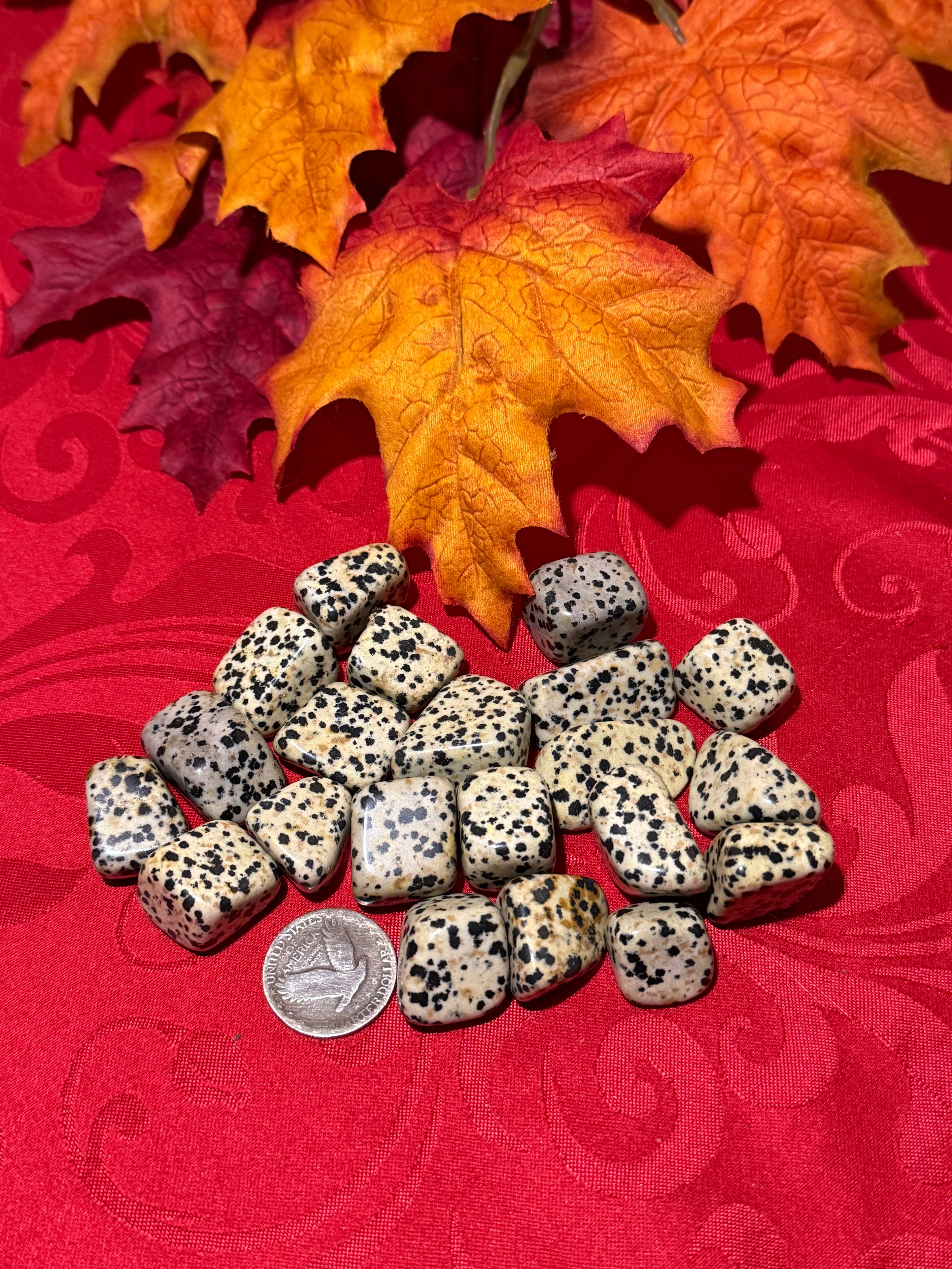 Dalmatian Stone Tumbled Polished Stone