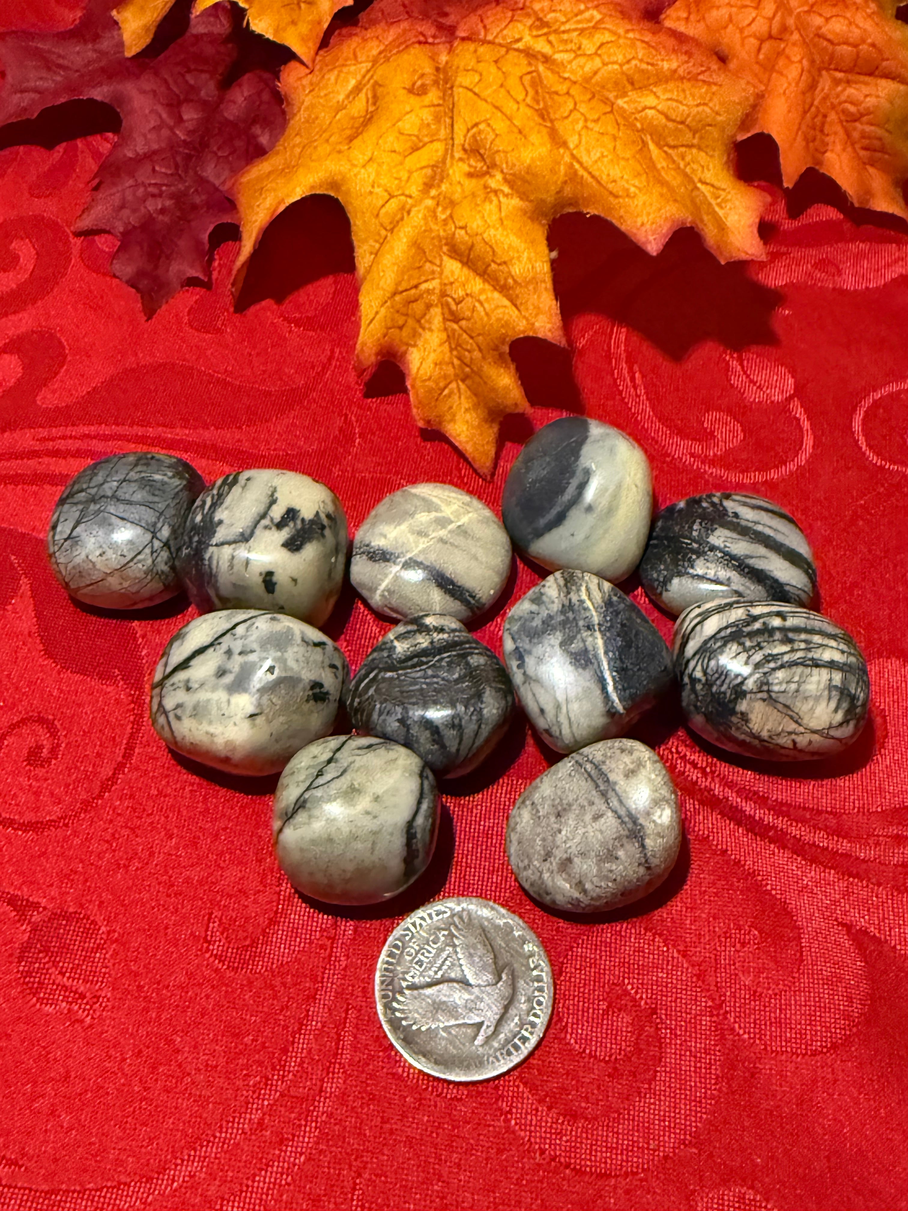 Picasso Jasper Tumbled Polished Stone