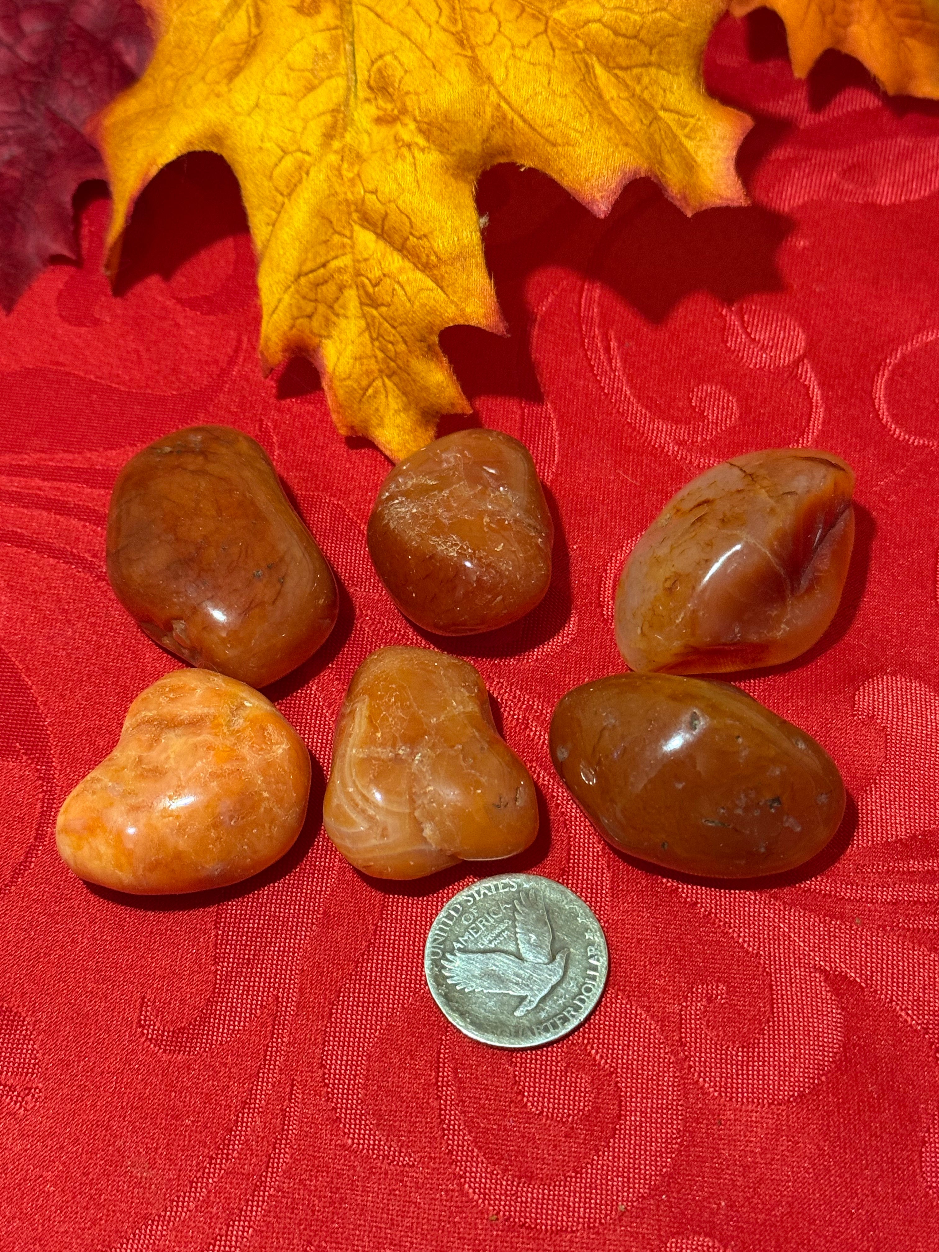 Jumbo Carnelian Agate Tumbled Polished Stone