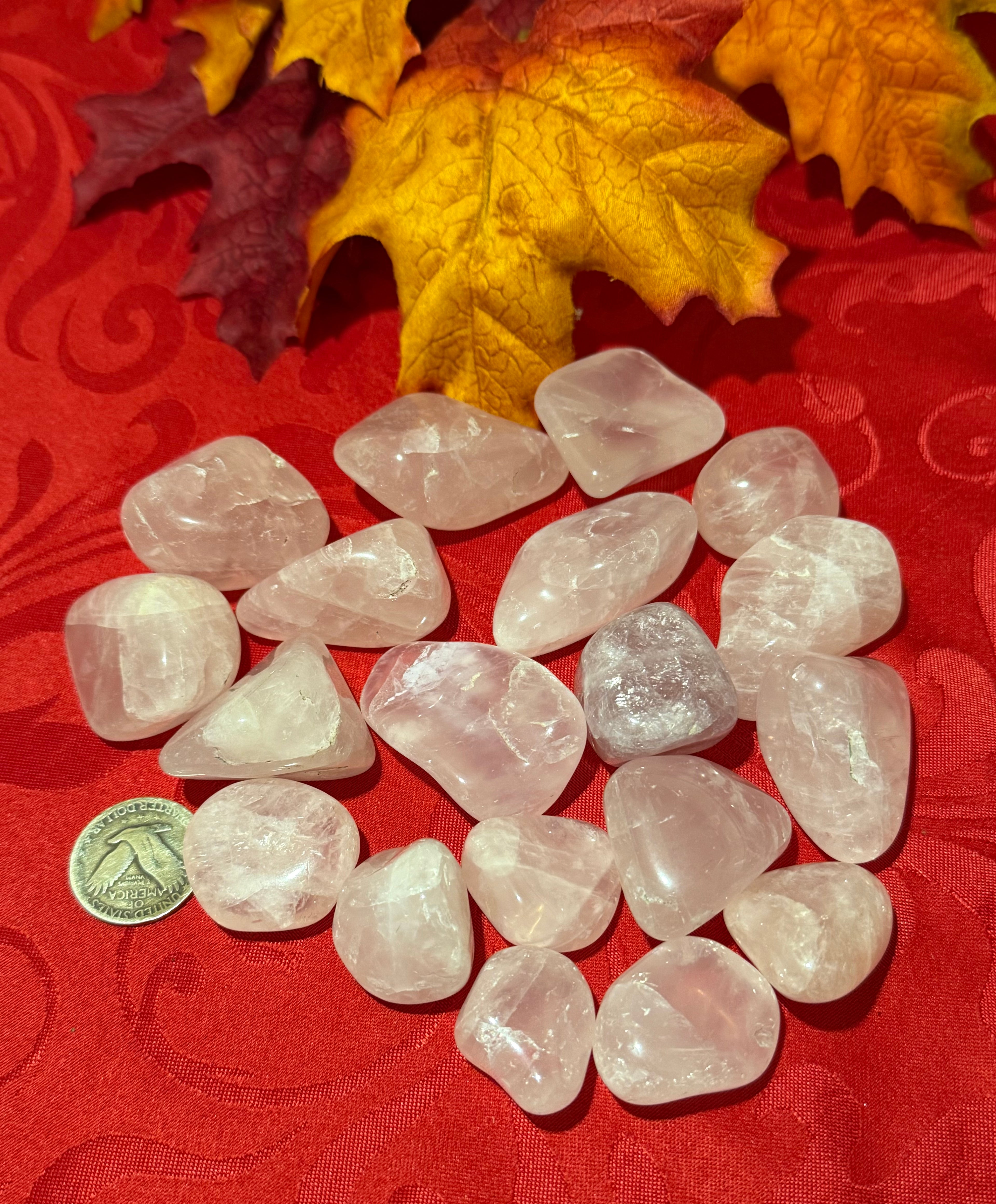 Jumbo Rose Quartz Tumbled Polished Stone