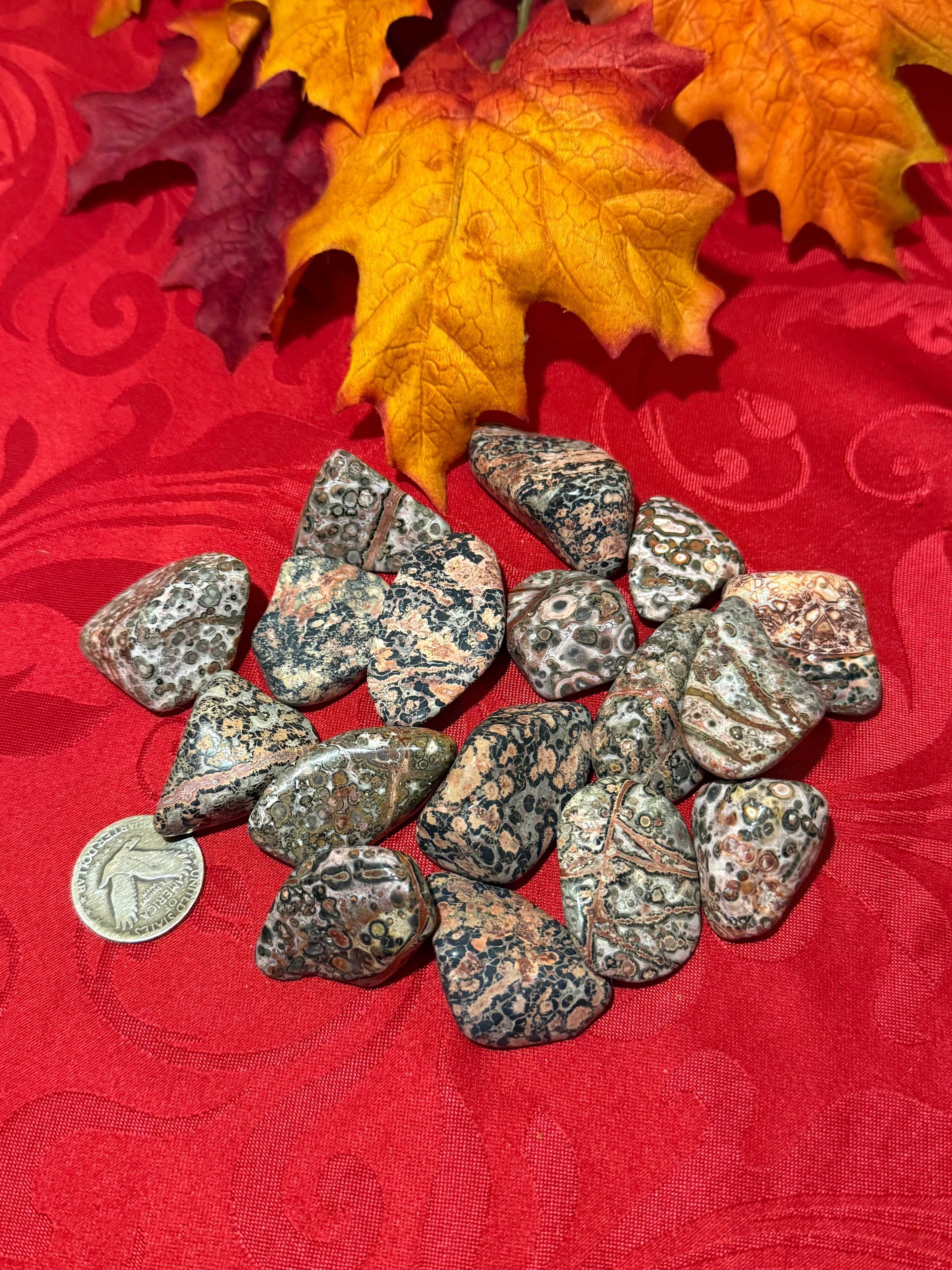 Large Leopardskin Jasper Tumbled Polished Stone