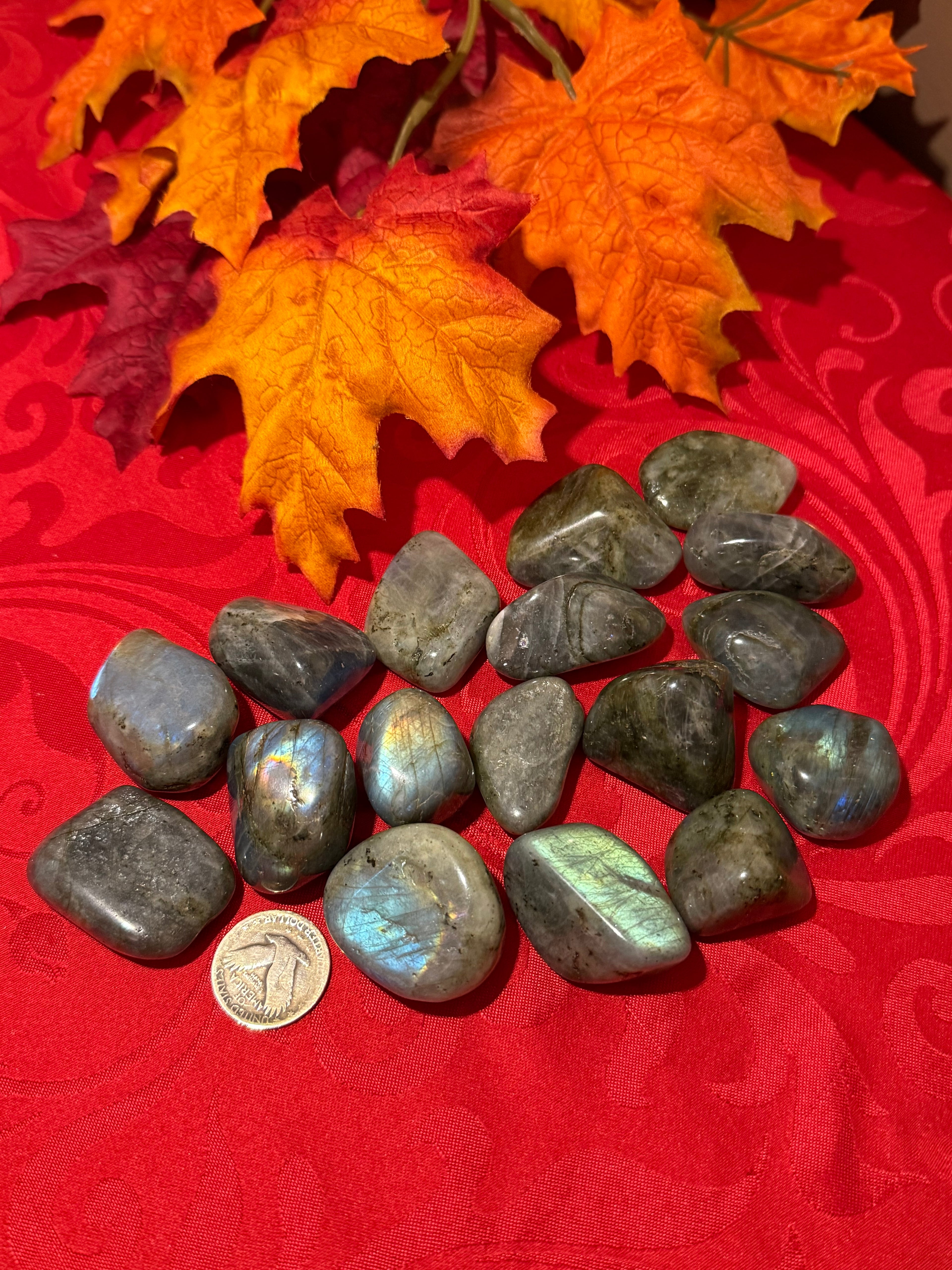Jumbo Labradorite Tumbled Polished Stone