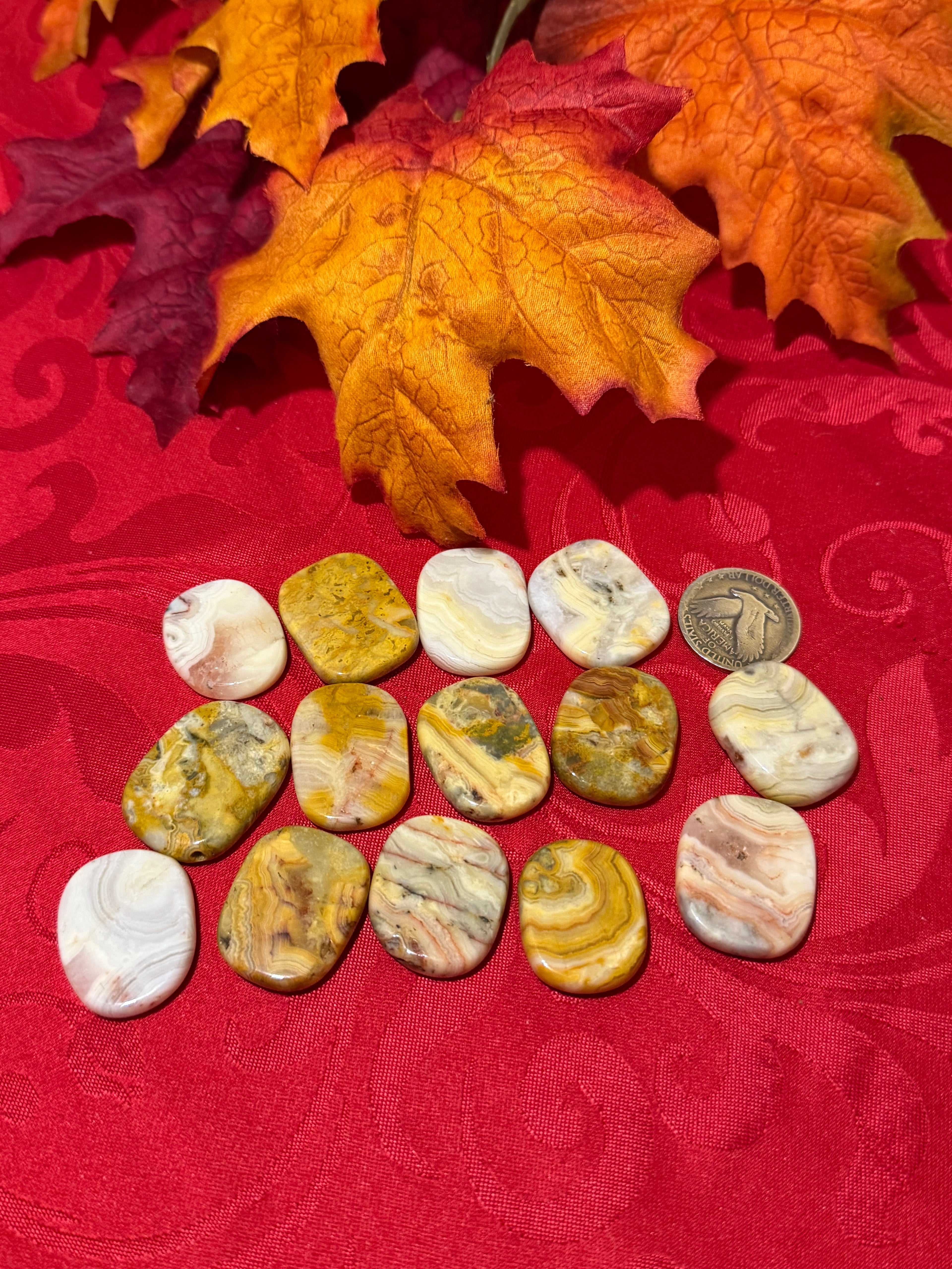 Crazy Lace Agate Polished Coin