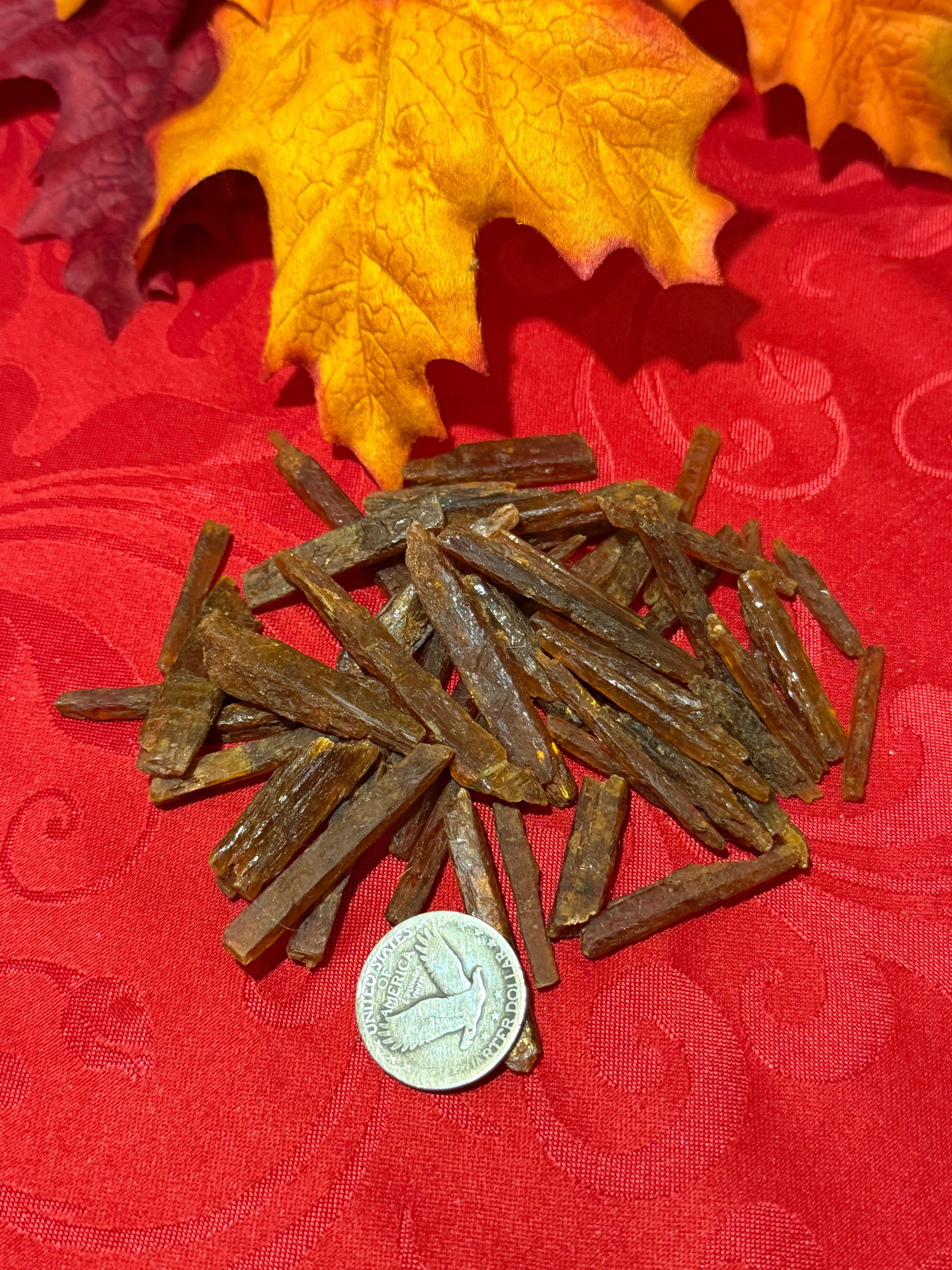 Rough Raw Orange Kyanite Crystal Blade