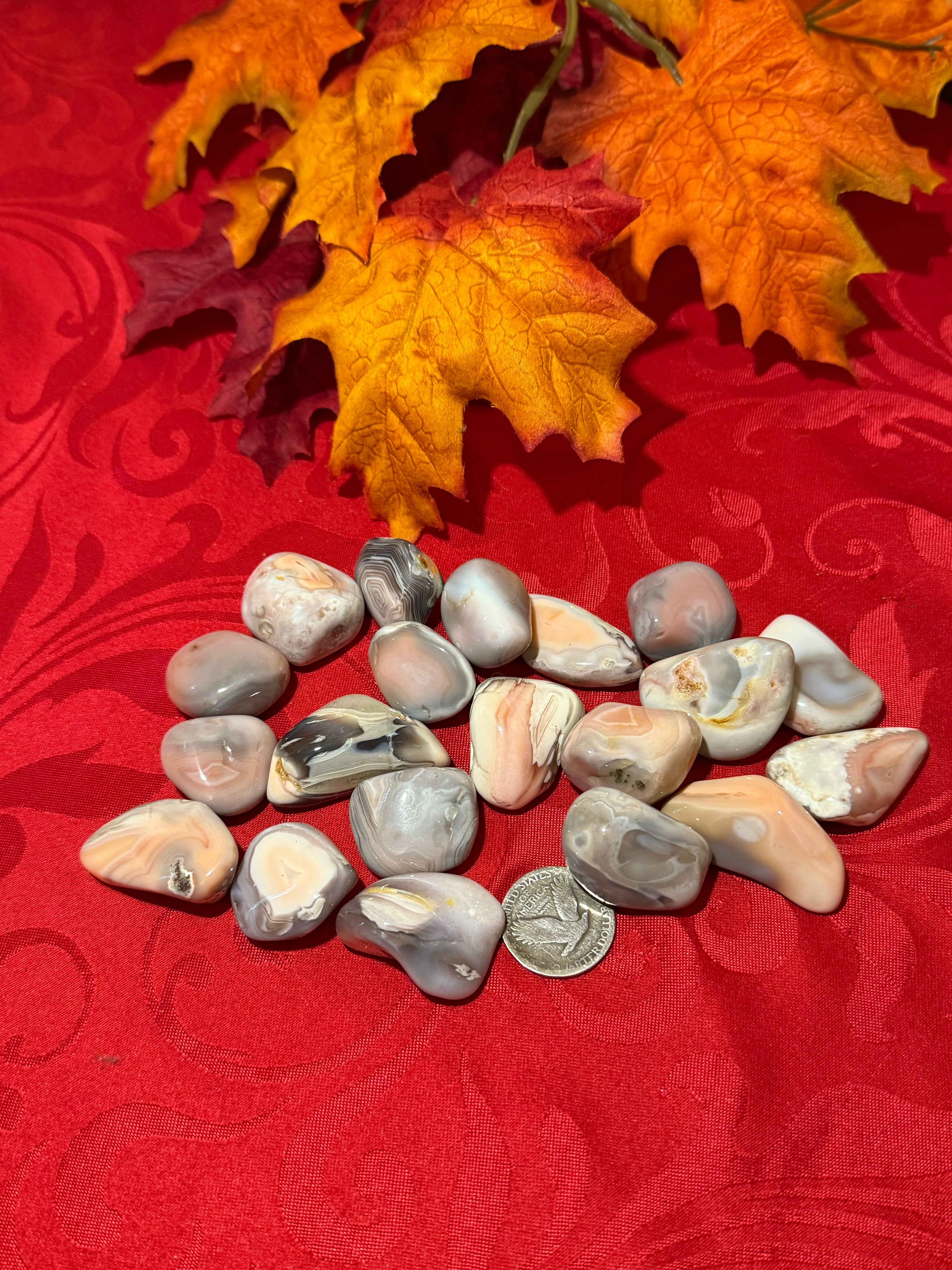 Pink Botswana Agate Tumbled Polished Stone