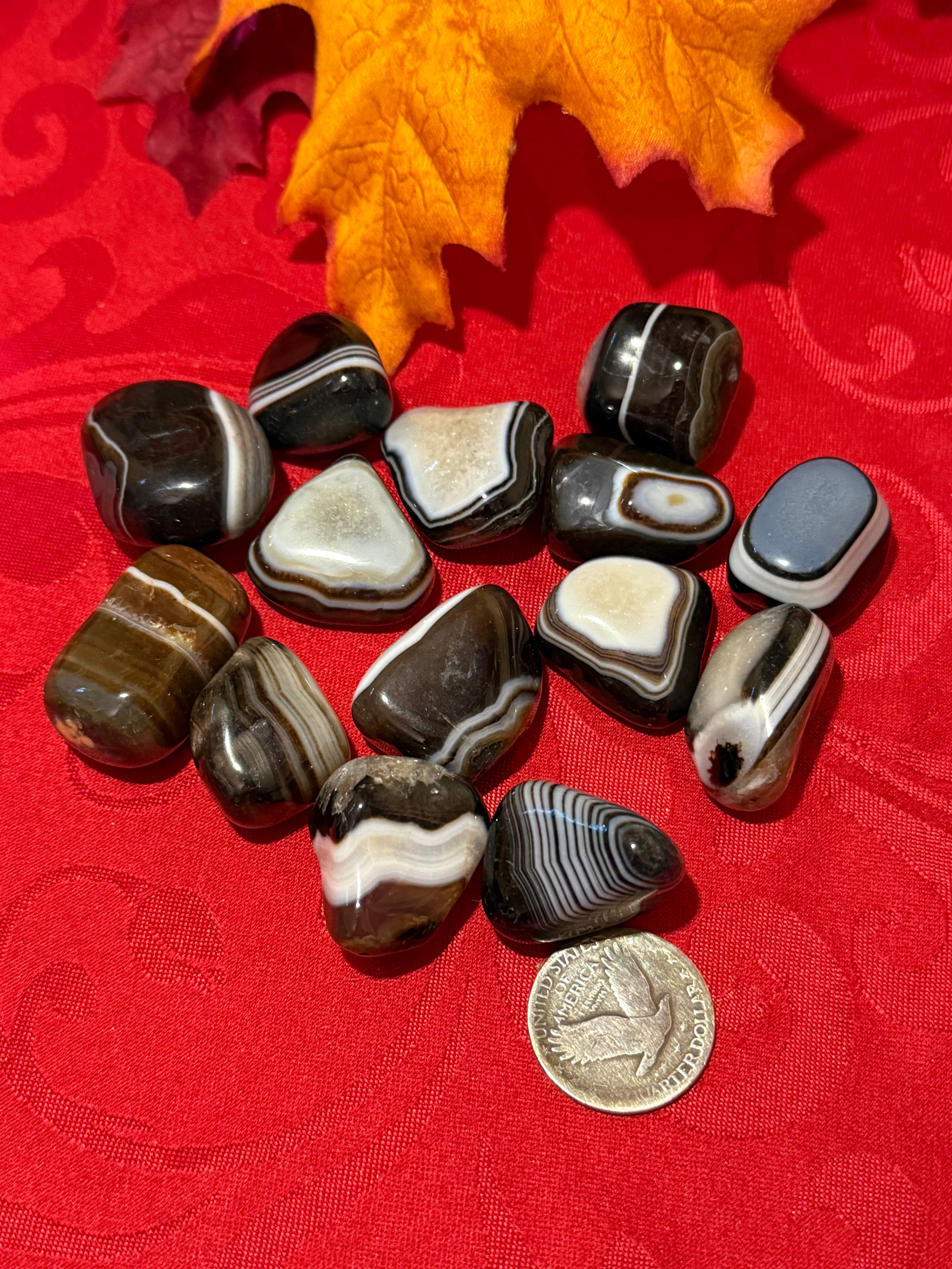 Black Banded Agate Tumbled Polished Stone
