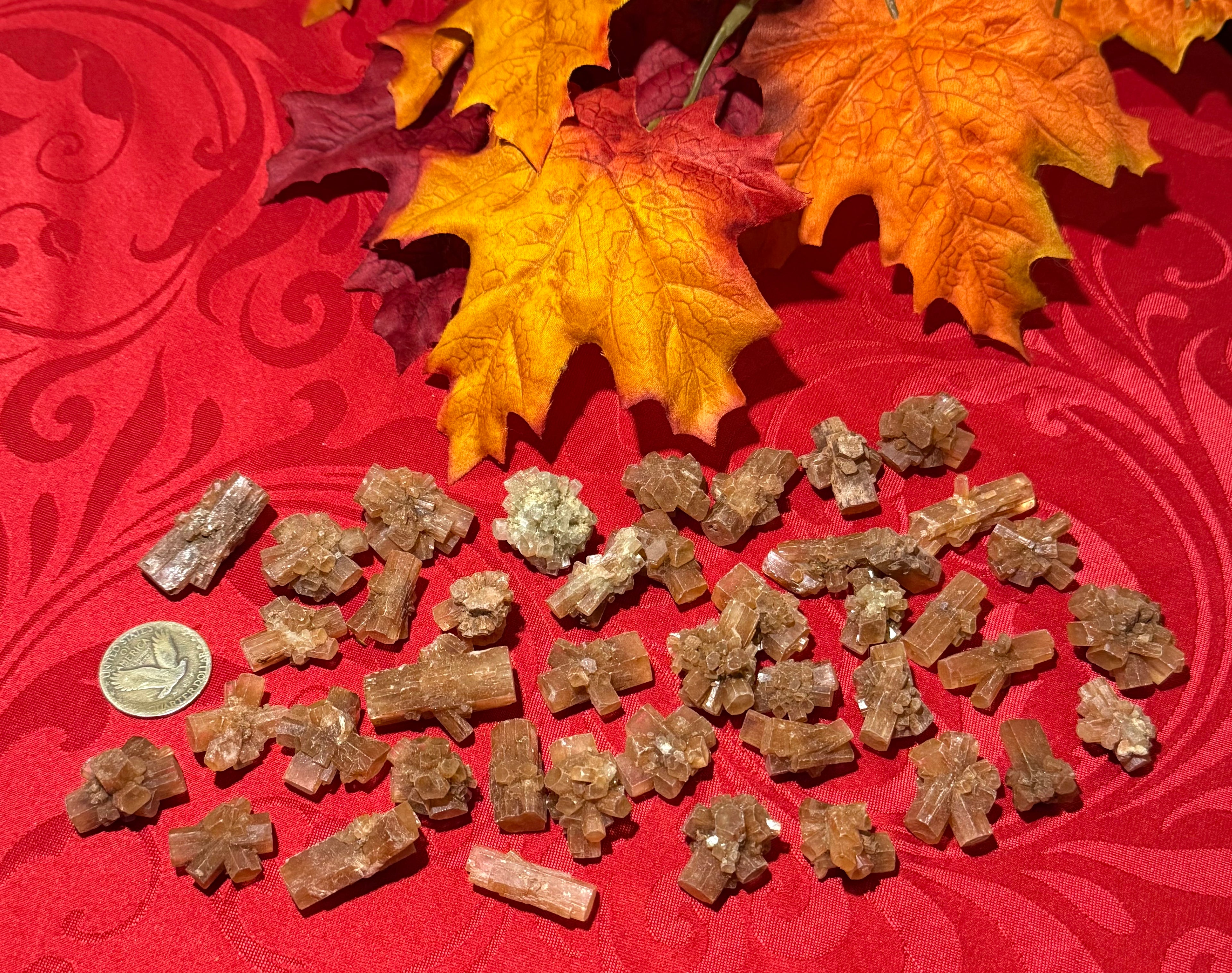 Rough Raw Aragonite Star Clusters & Barrels