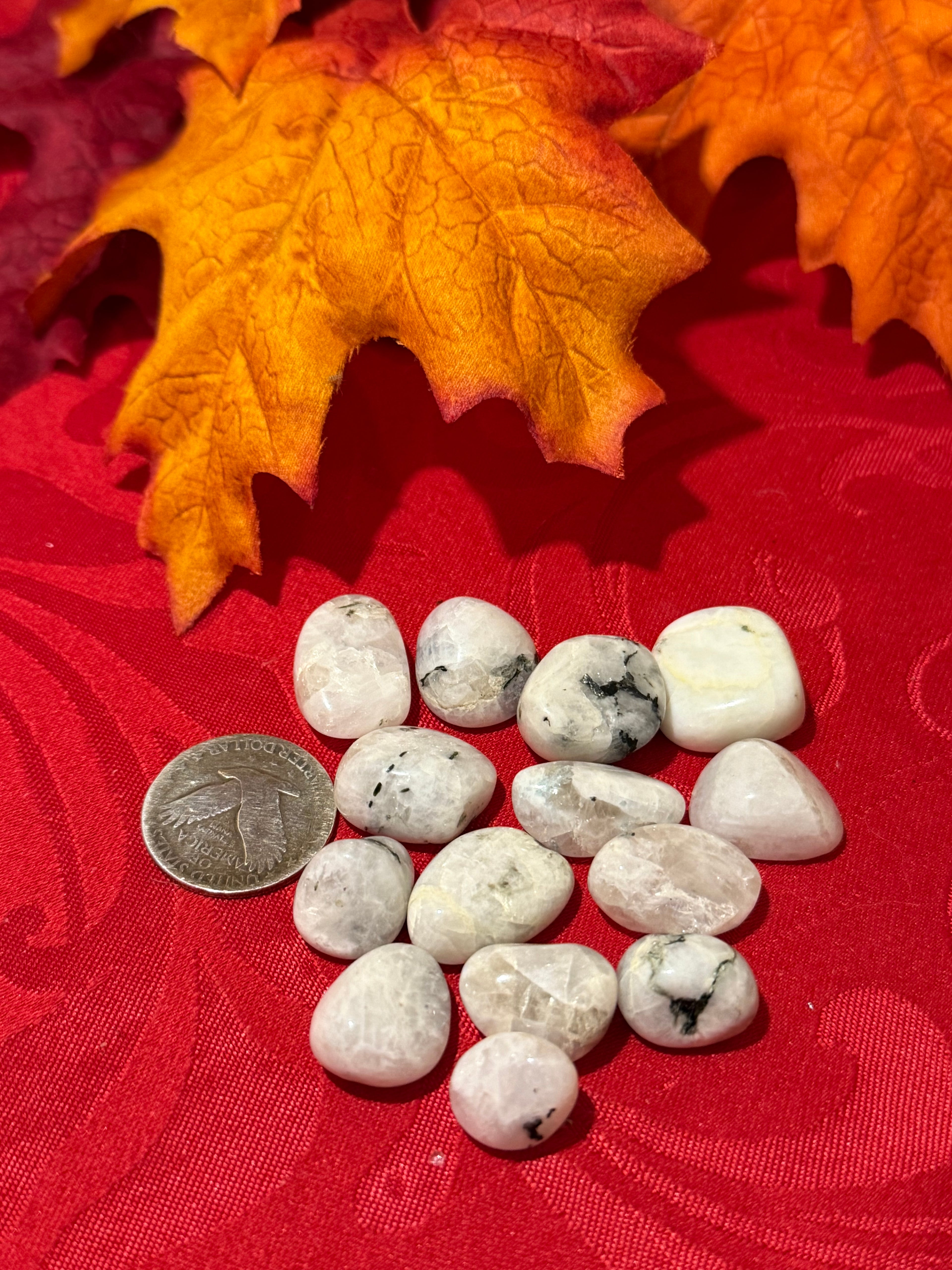 Rainbow Moonstone Small Tumbled Polished Stone