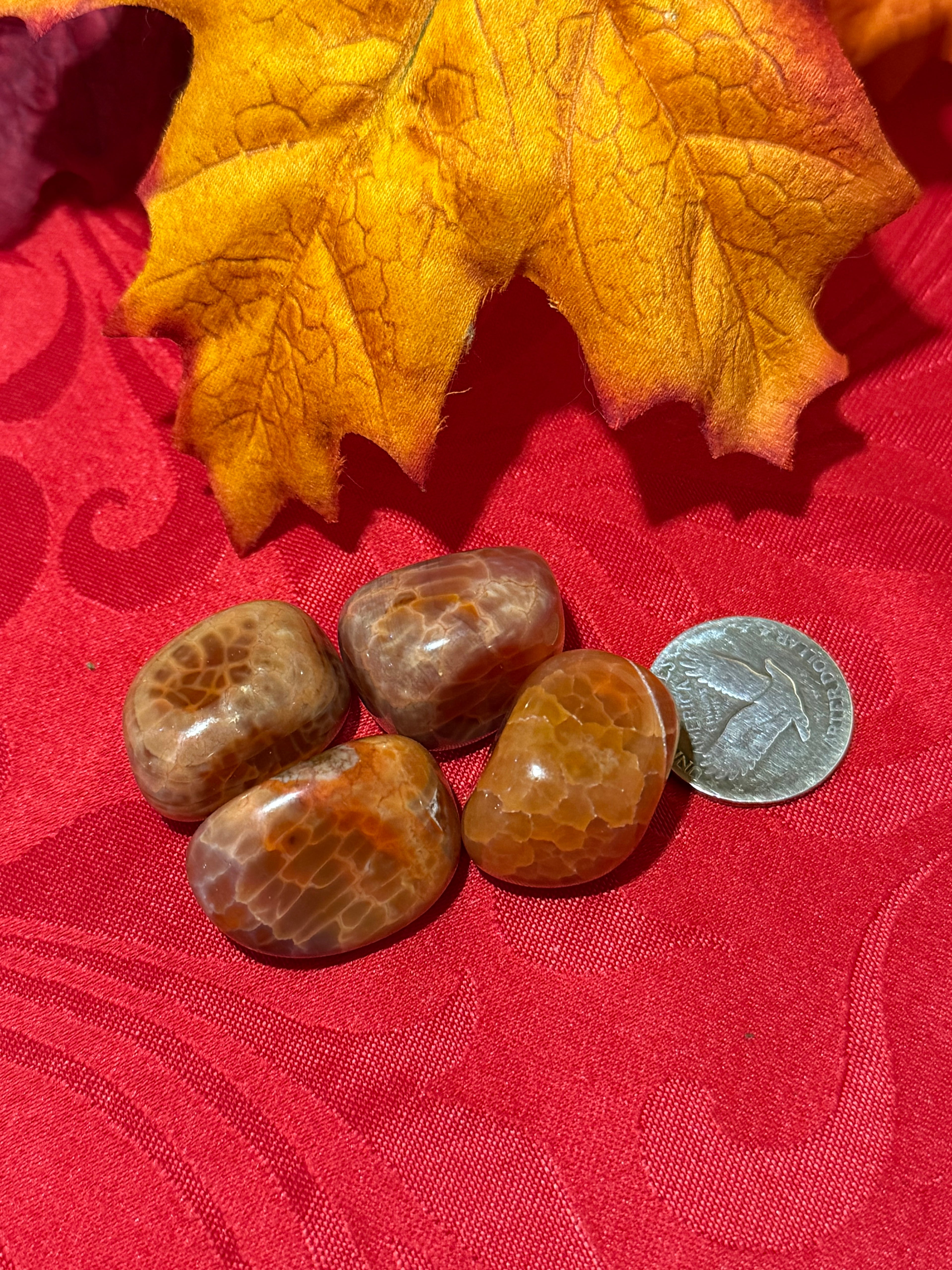 Snakeskin Carnelian Agate Tumbled Polished Stone