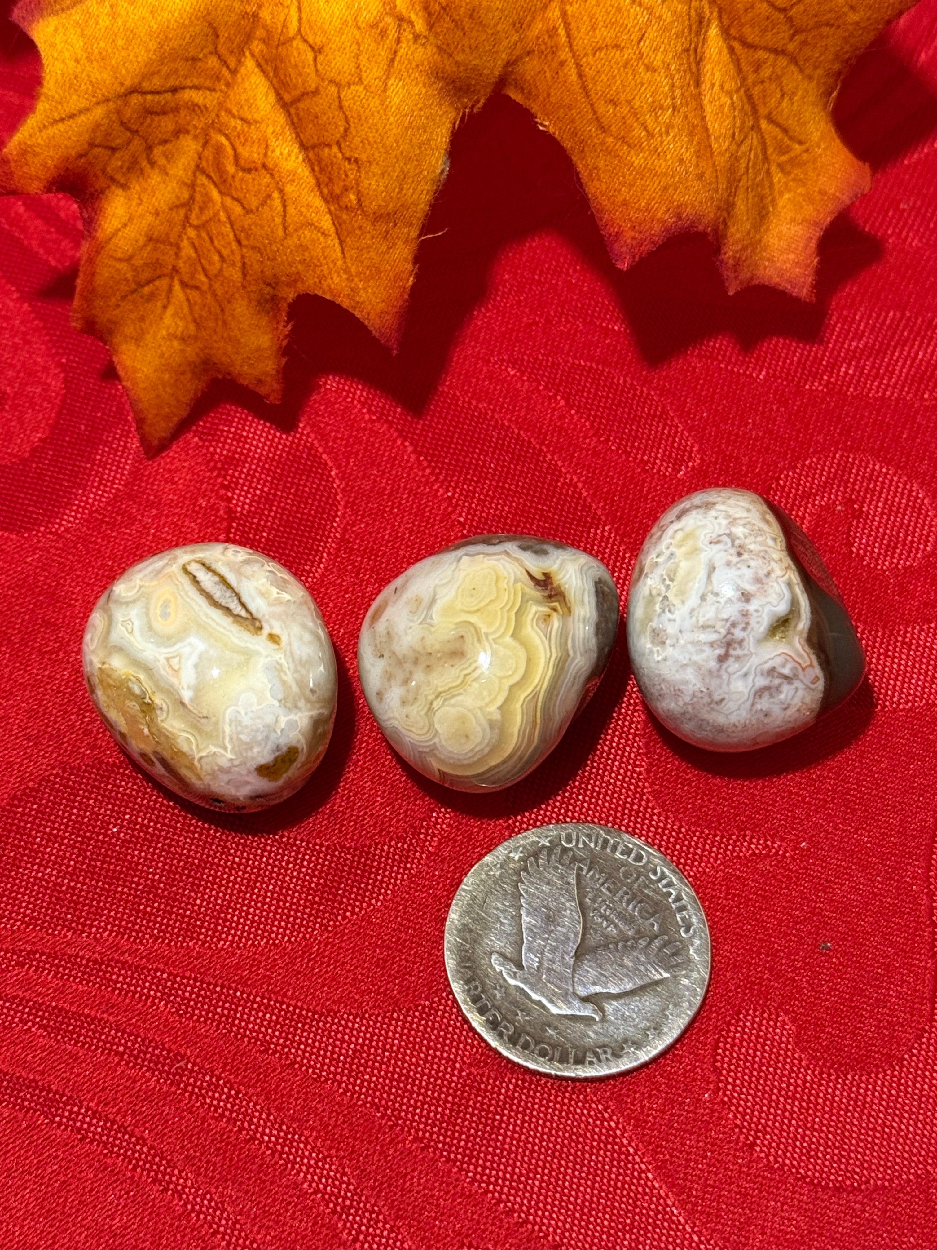 Laguna Lace Agate Tumbled Polished Stone