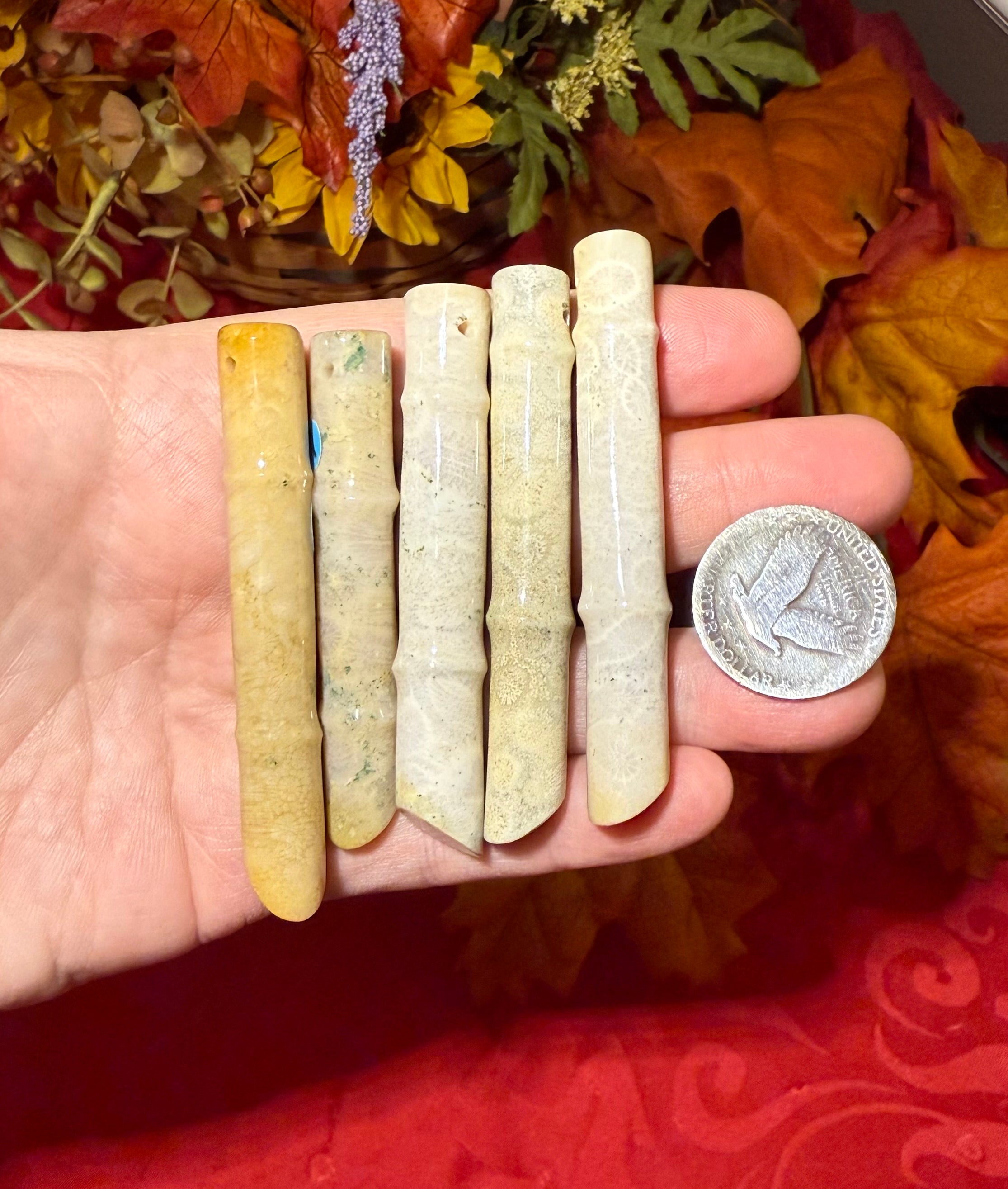 Carved Fossil Coral Bamboo Piece DRILLED