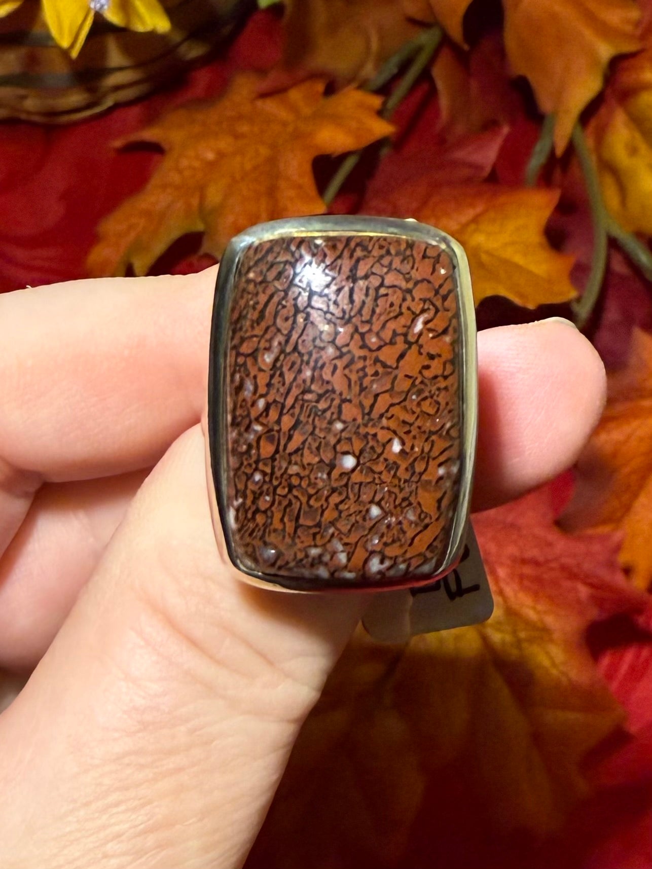 Red Dino Bone Fossil Sterling Silver Ring, size 8-1/4