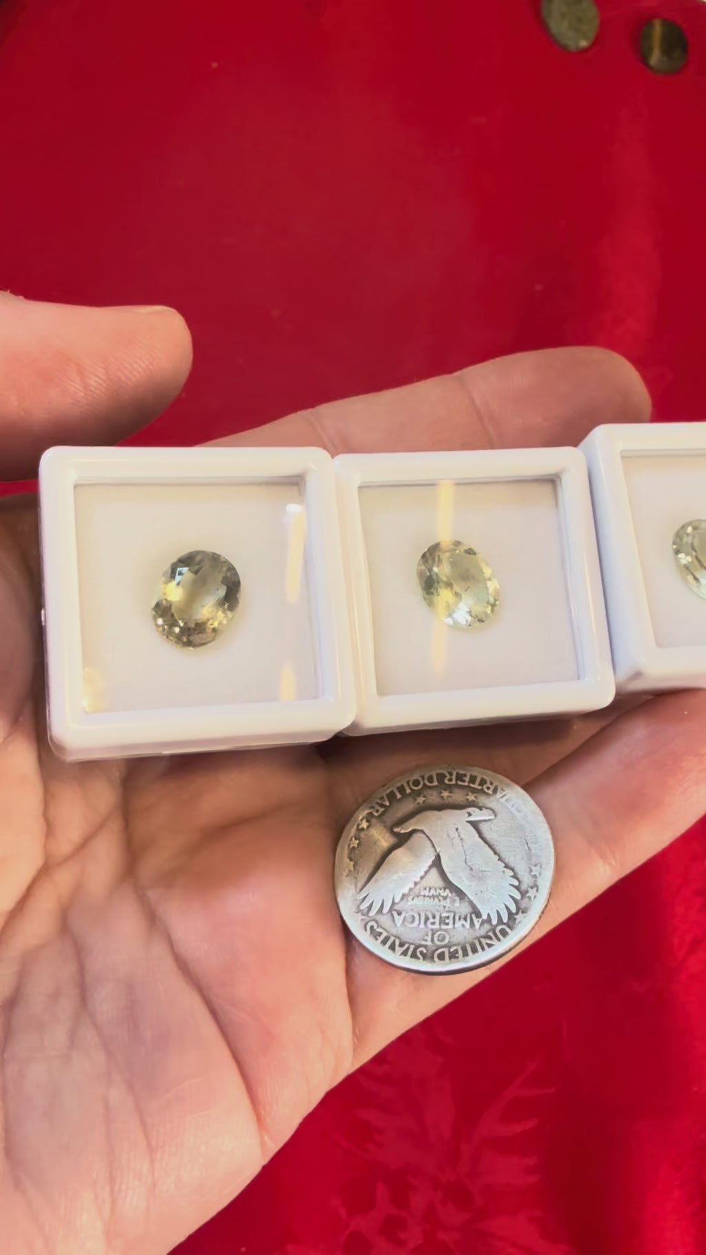 10mm Faceted Prasiolite (Green Amethyst) Gemstone in Acrylic Case