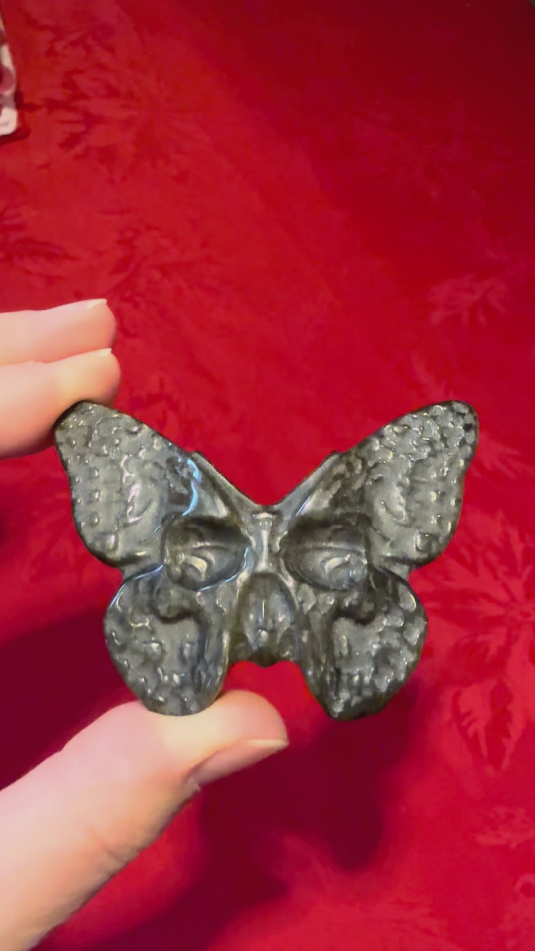 2-1/2” Gold Sheen Obsidian Skull Butterfly