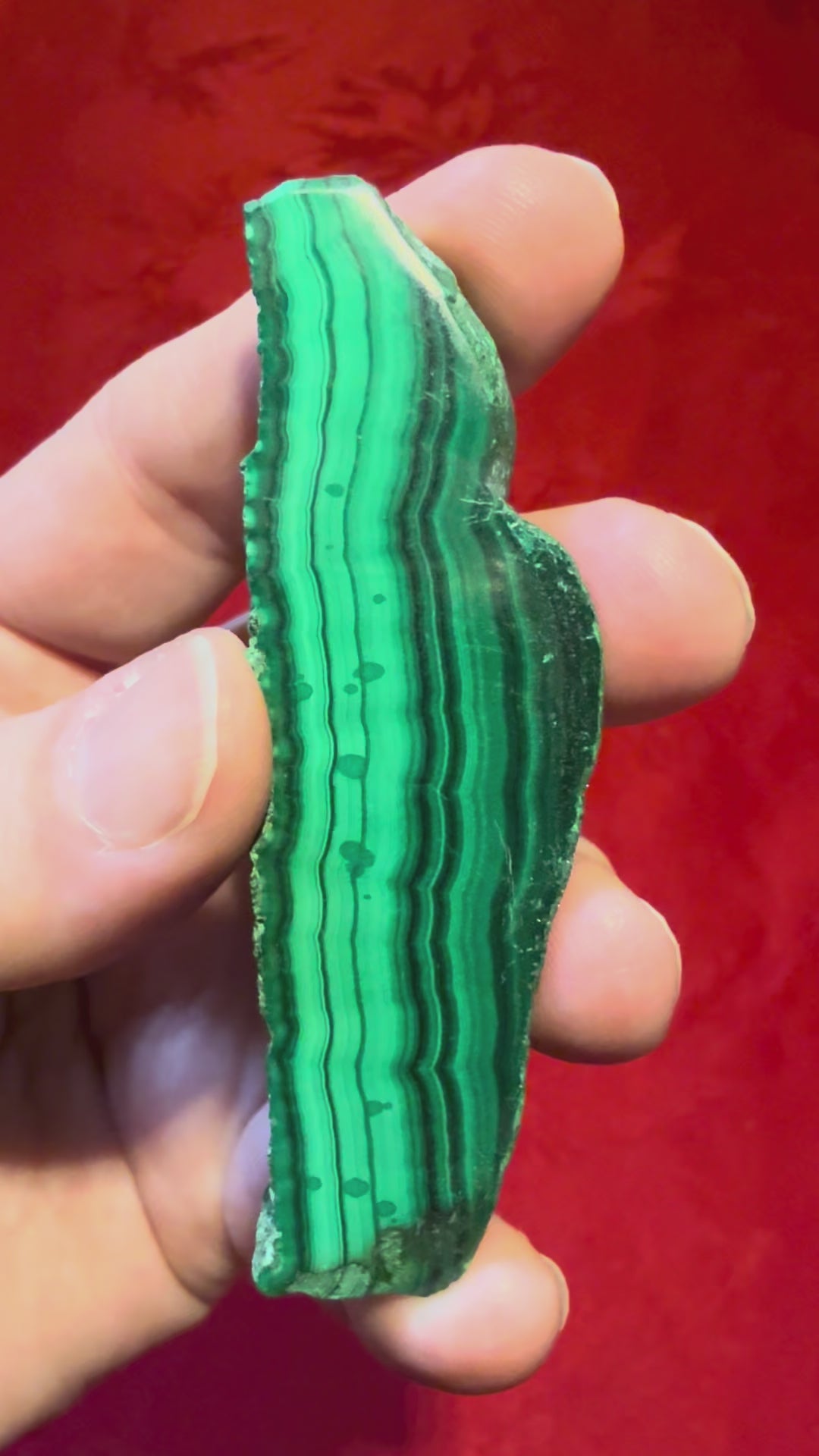 3” Polished Malachite Slab