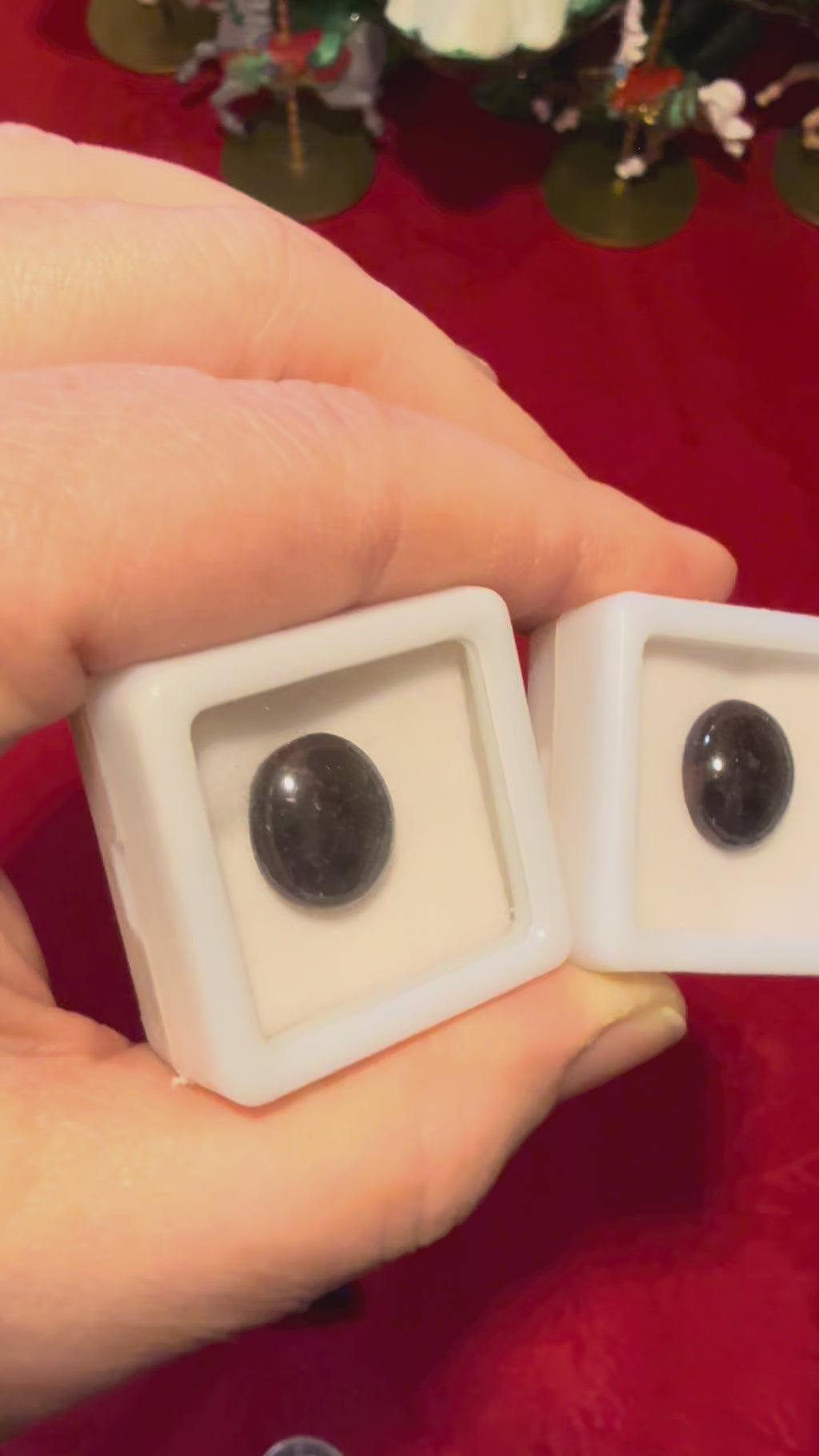 13mm Star Garnet Cabochon in Display Case