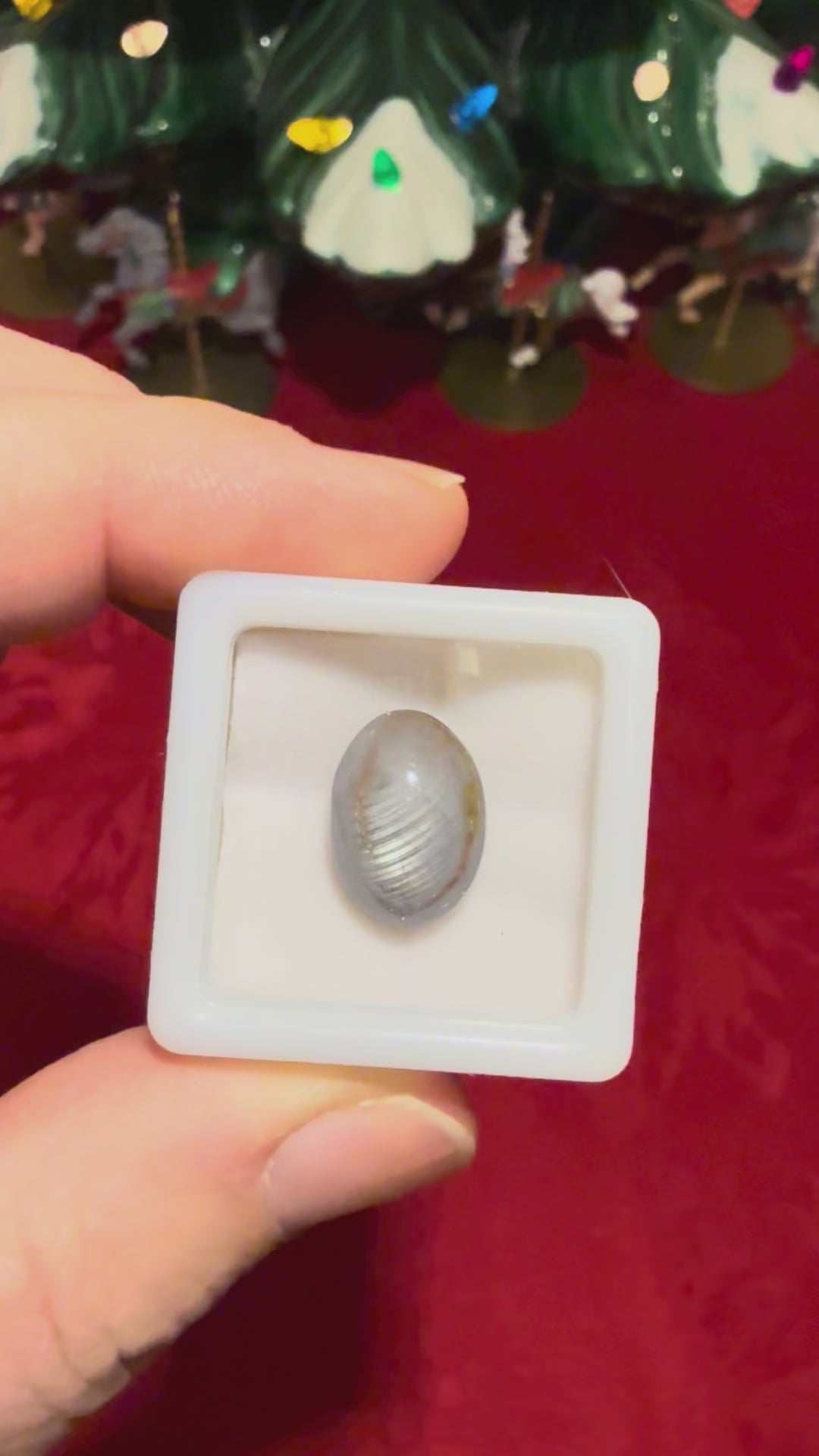 13mm Silver Sheen Sapphire Cabochon in Display Case
