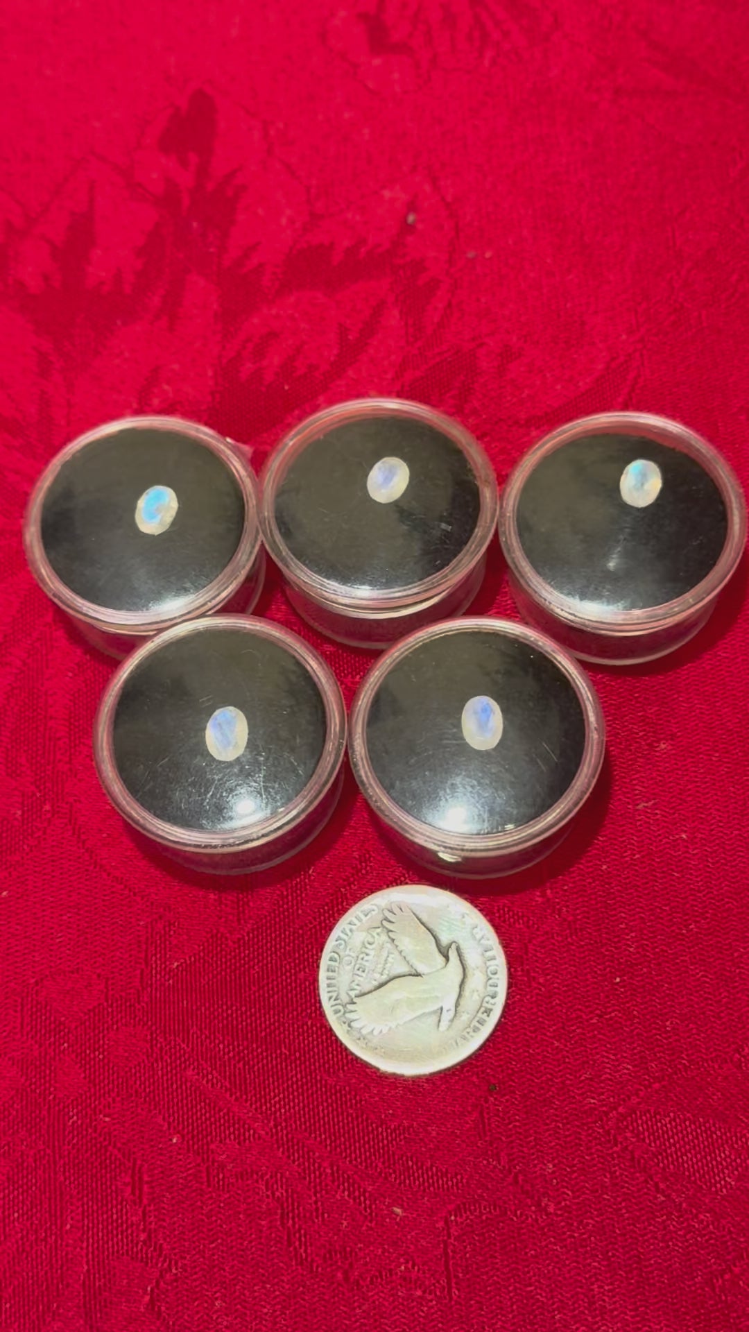 7mm Faceted Rainbow Moonstone Oval Gemstone in Case