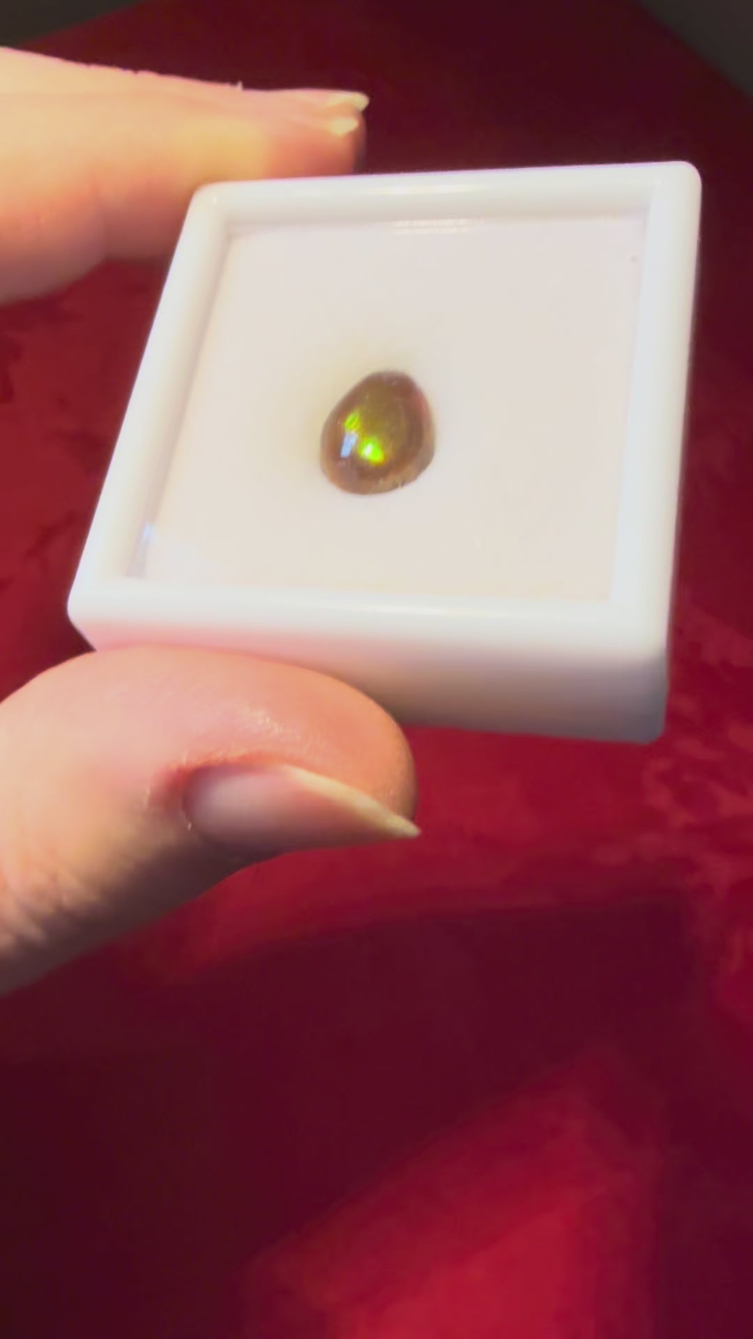10mm Fire Agate Cabochon in Case
