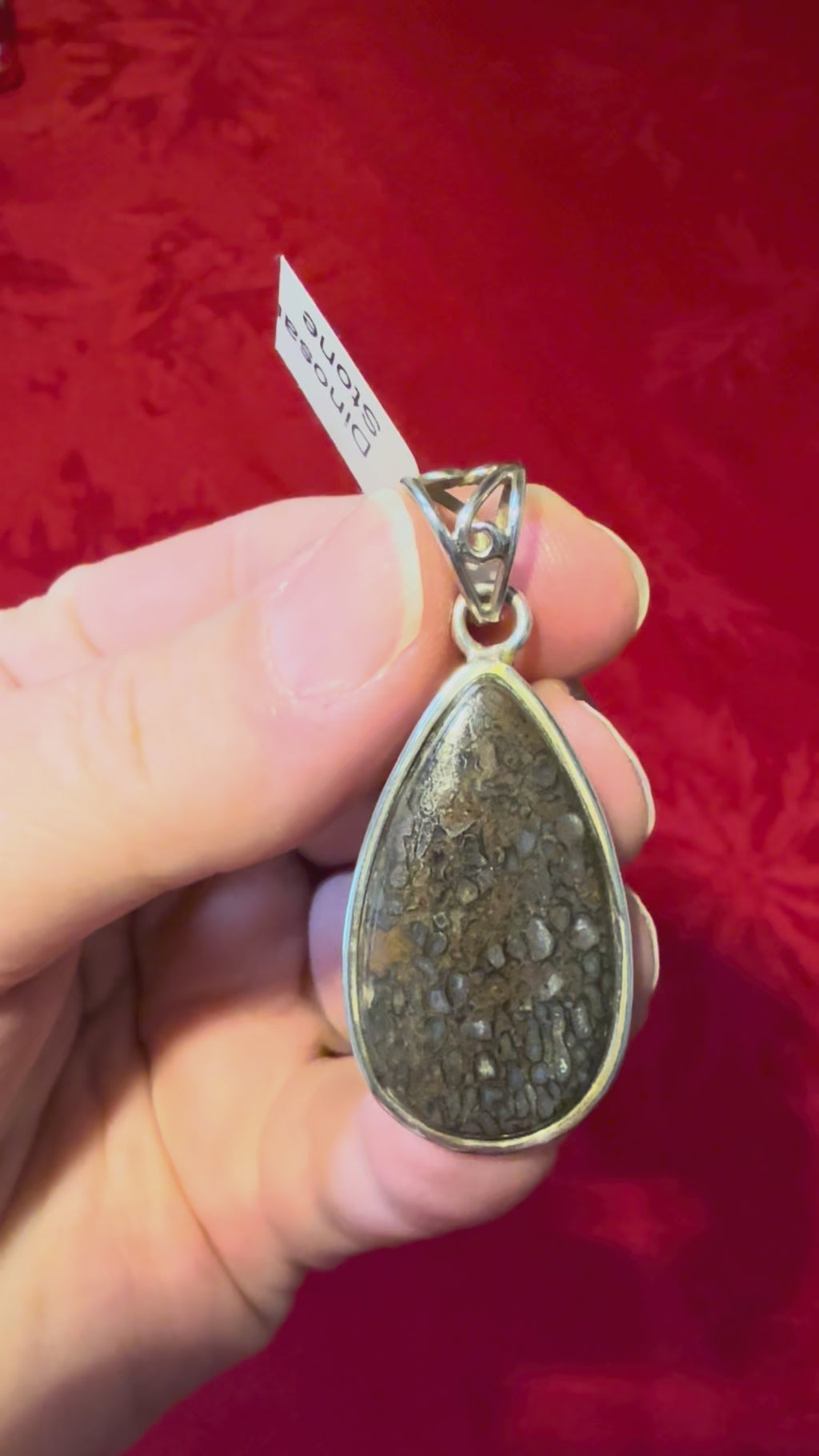 1-7/8” Dino Bone Fossil Sterling Silver Pendant