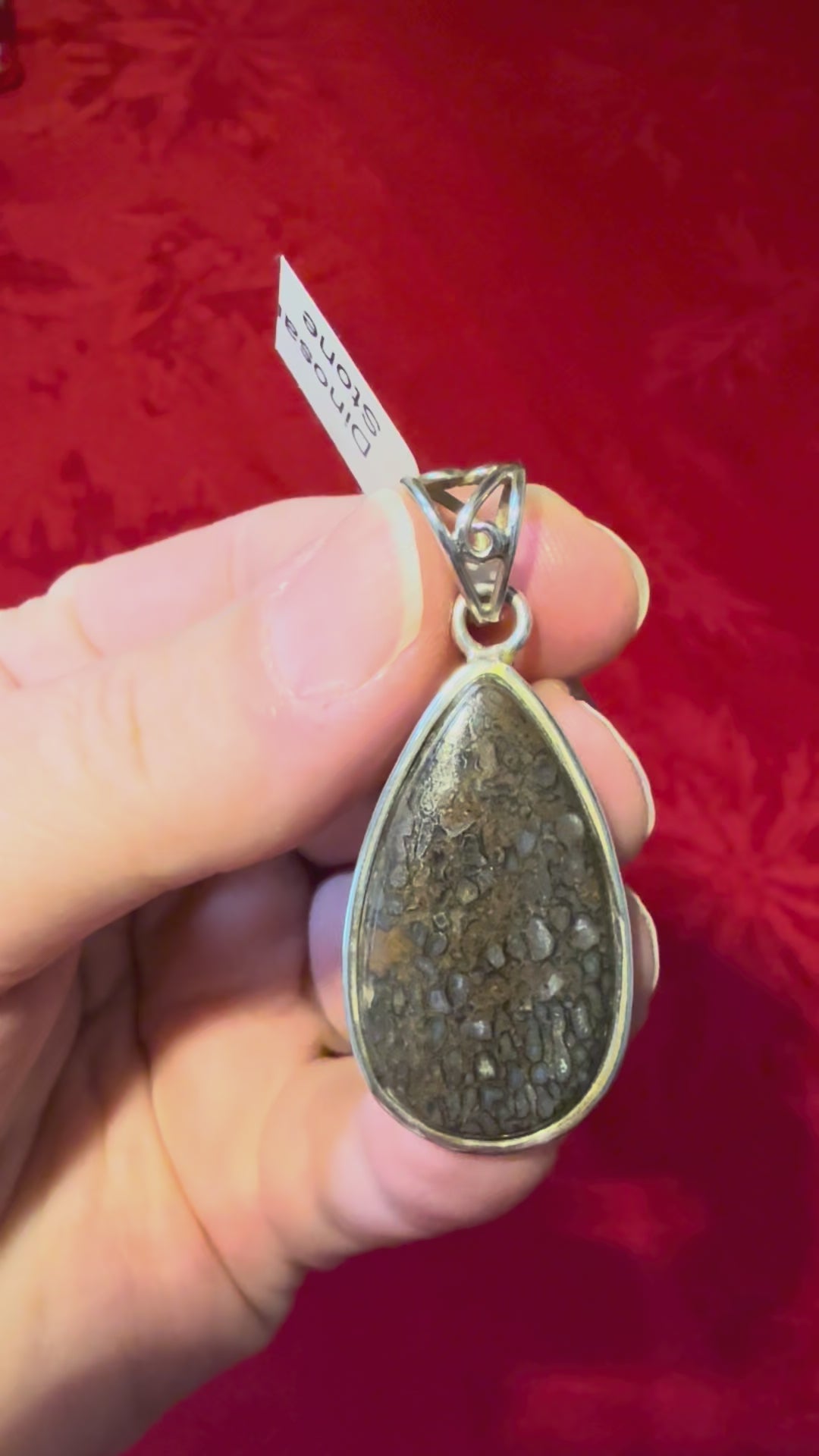 1-7/8” Dino Bone Fossil Sterling Silver Pendant