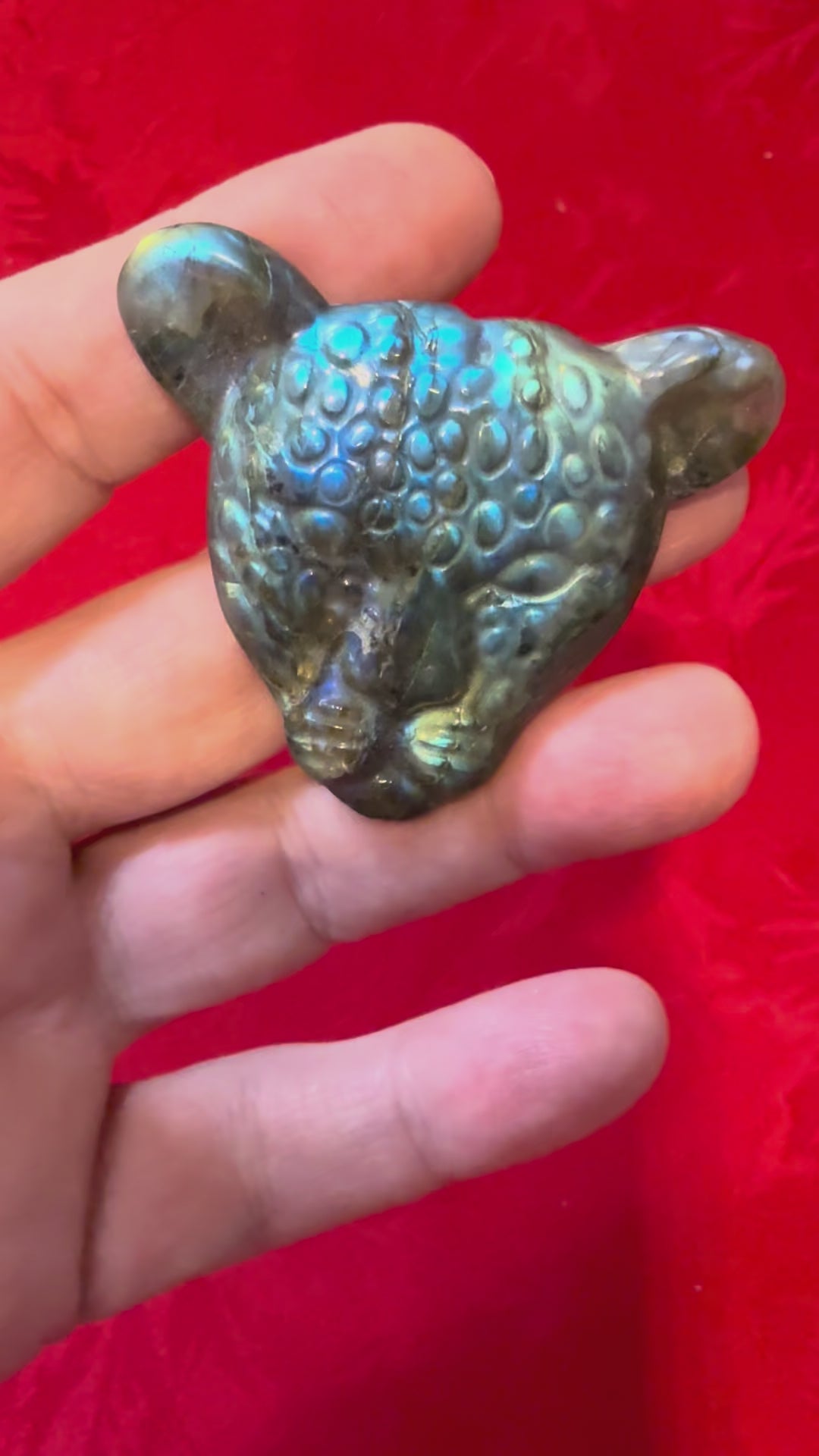 45mm Carved Labradorite Leopard Head Cameo Cabochon