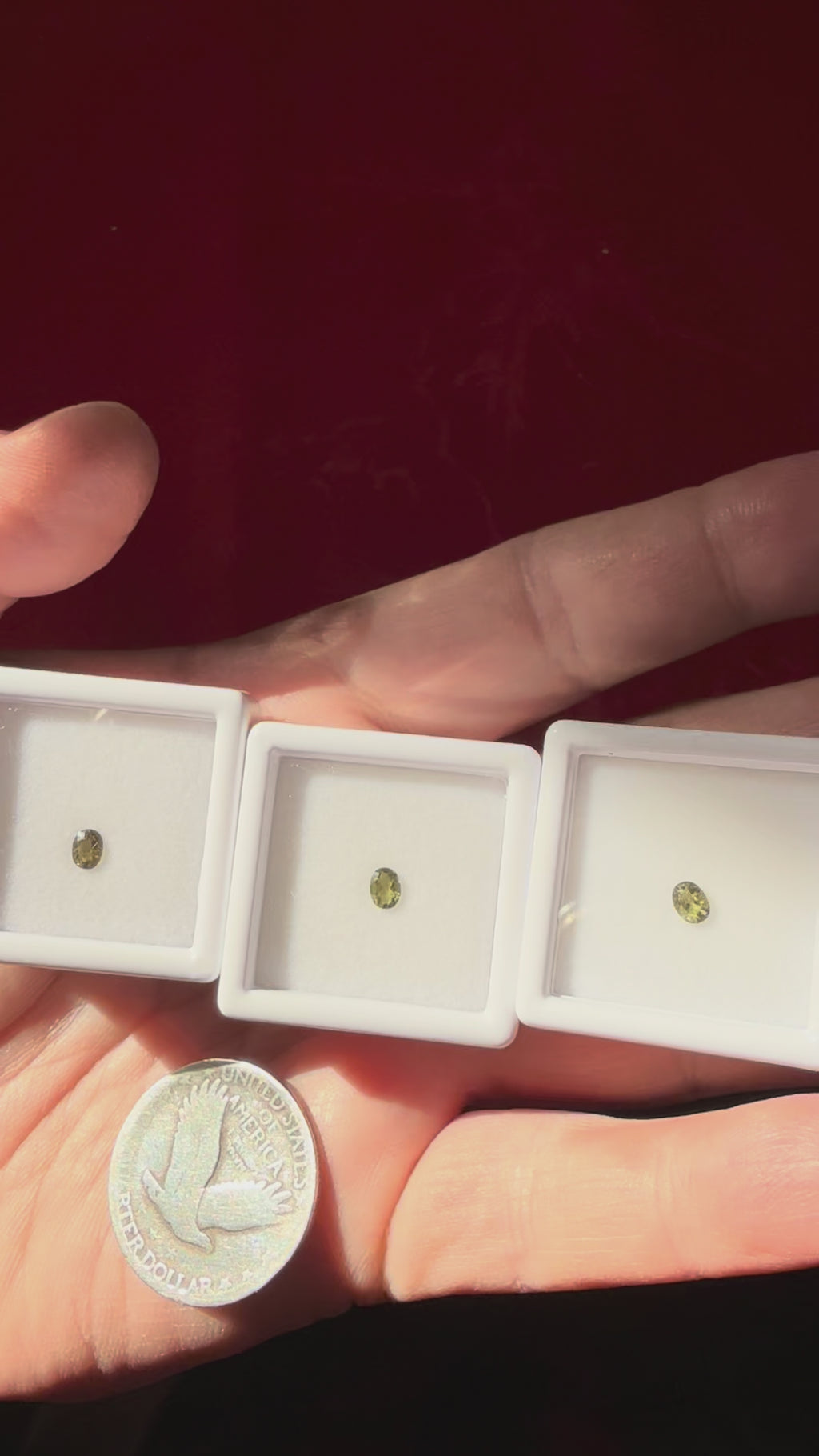 4mm Genuine Moldavite Oval Facet in Acrylic Case