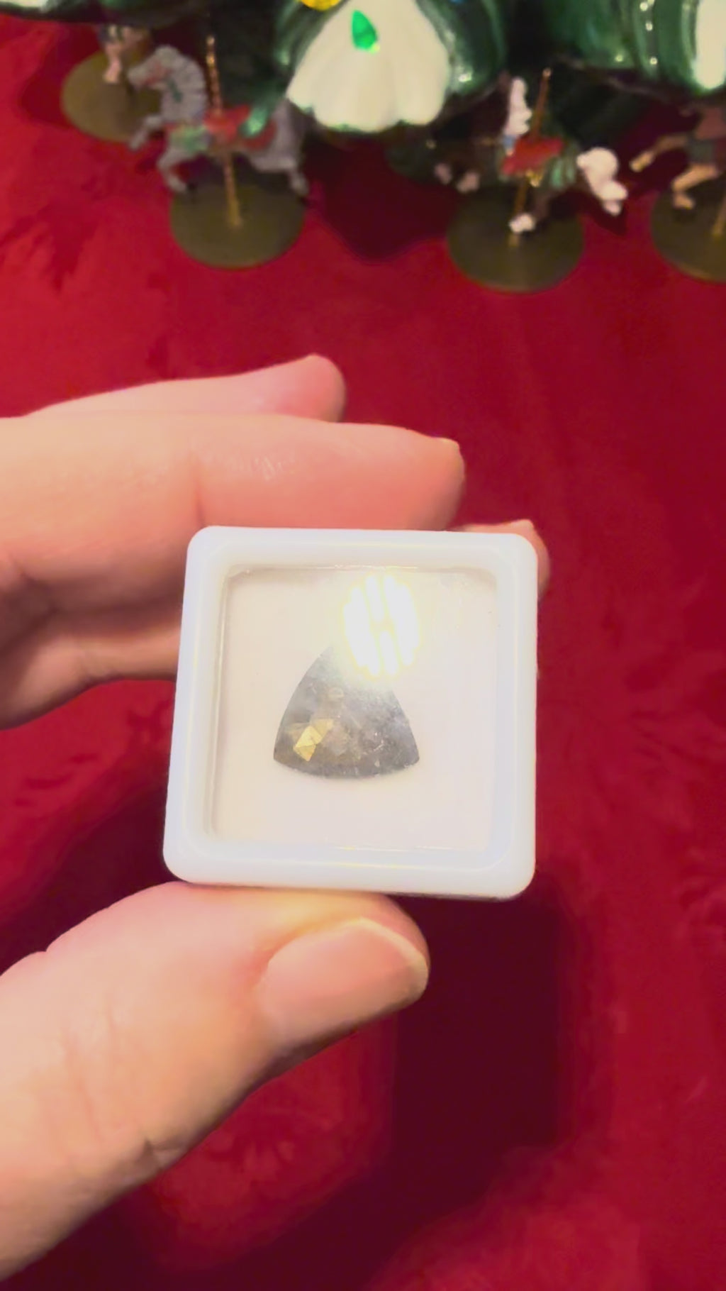 12mm Rosecut Gold Sheen Sapphire Faceted Trilliant in Display Case,